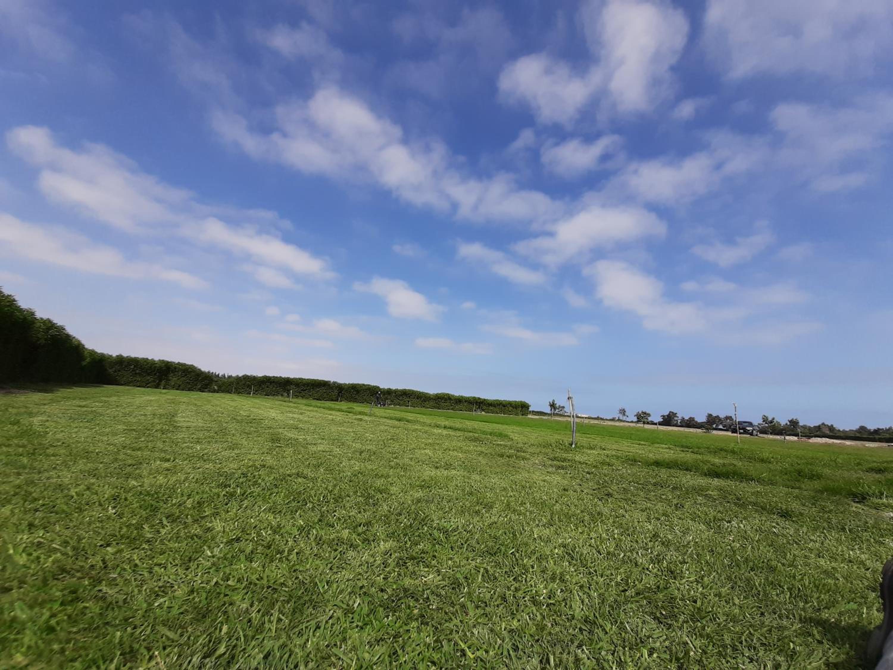 Elysium Farmland