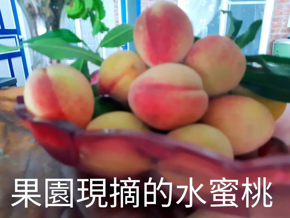 Taitung Linyuan B&B
