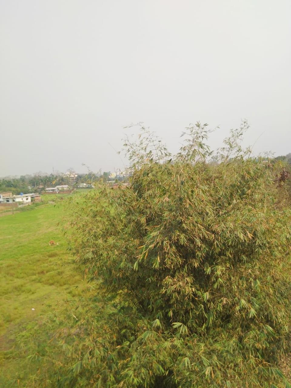 Photo 37