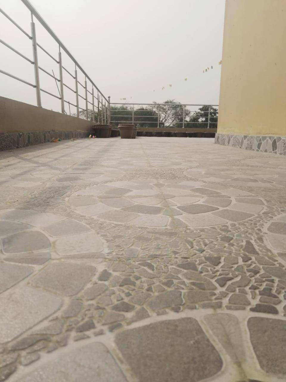 Photo 44