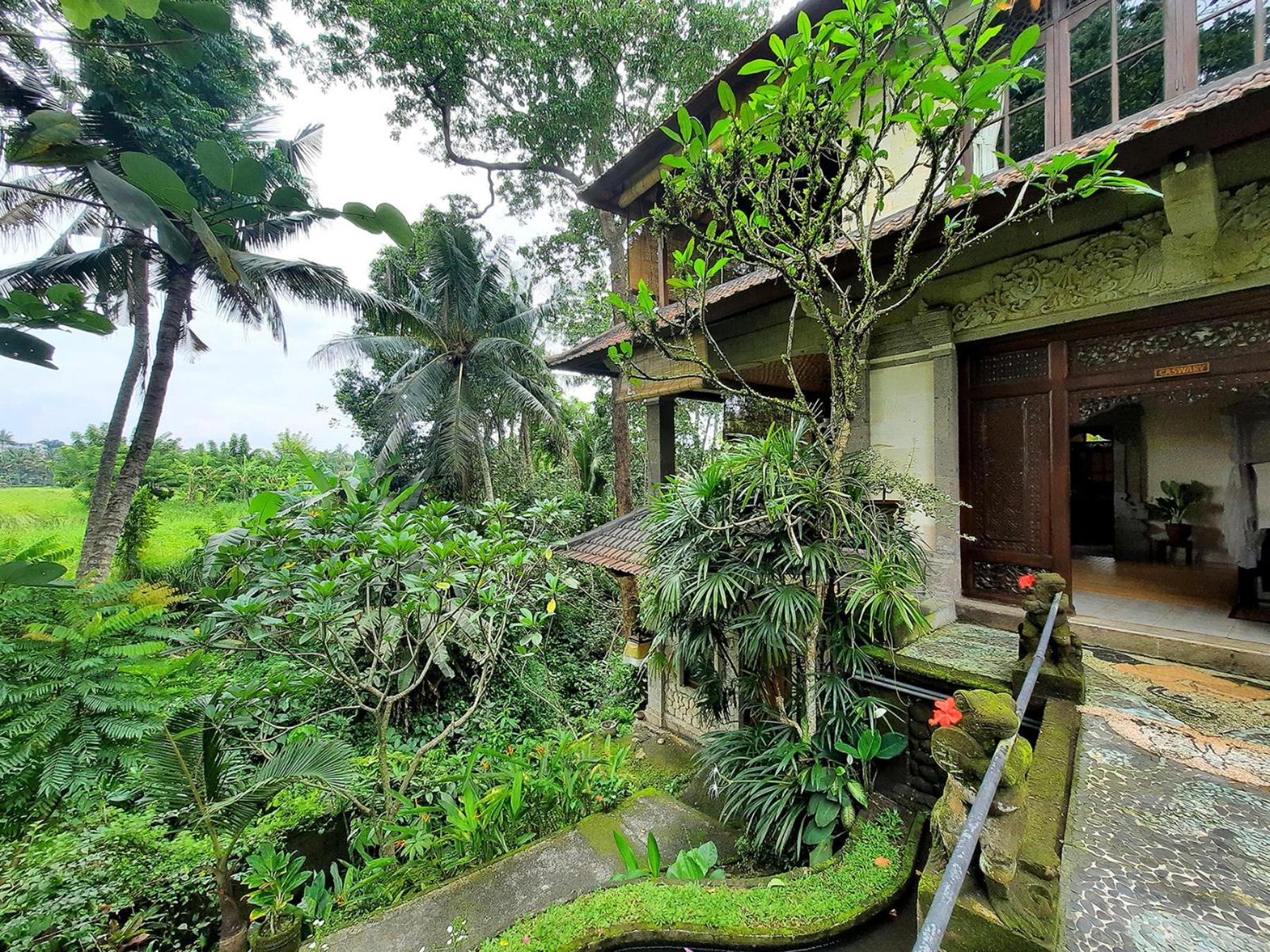 Alam Jiwa Ubud
