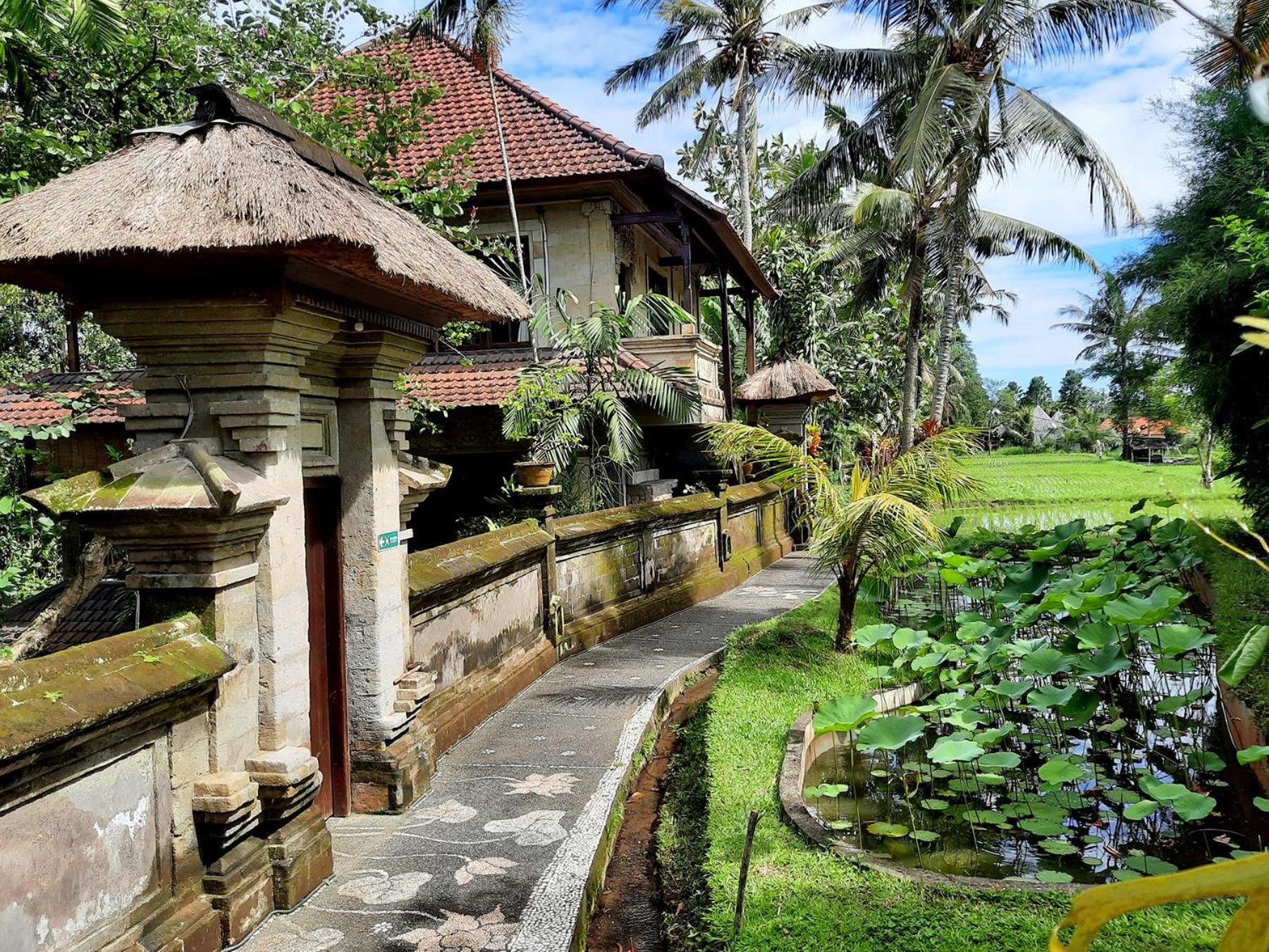 Alam Jiwa Ubud