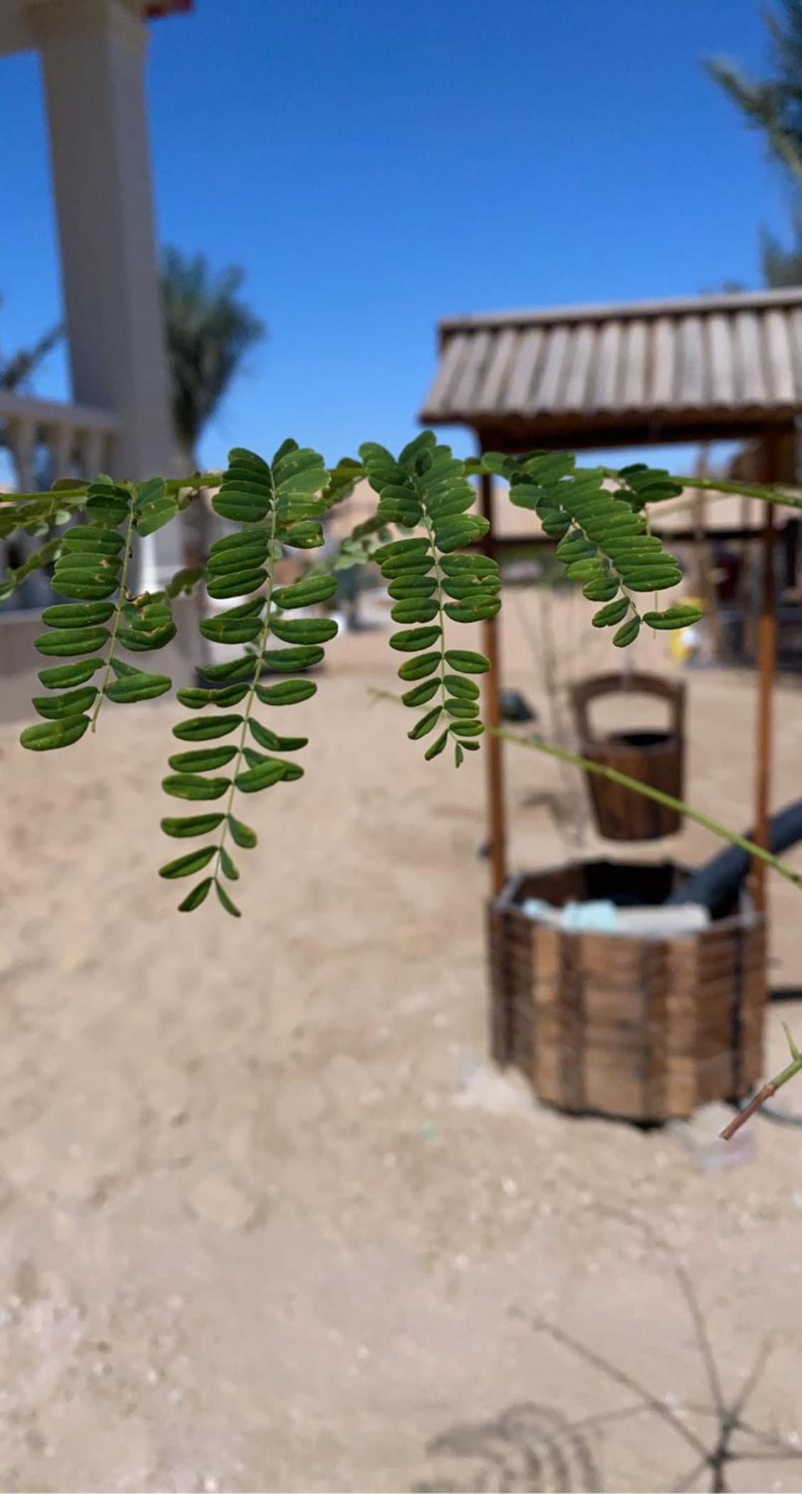Farm Lebanon