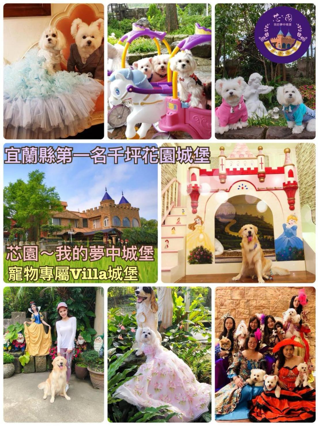 Xin Yuan My Dream Castle