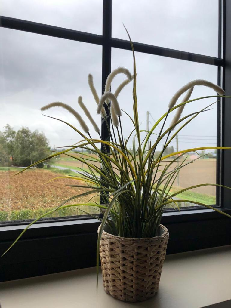 Fermette de bobonne