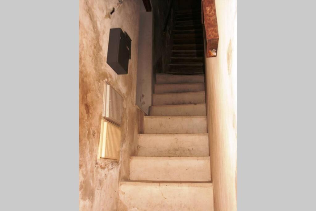 Le Studio — photo 2