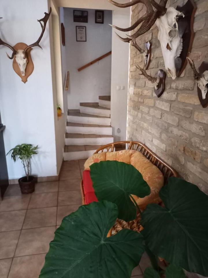 Photo 31