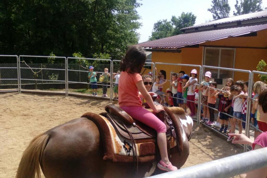 Holiday home with swimming pool, wellness, horses and donkeys