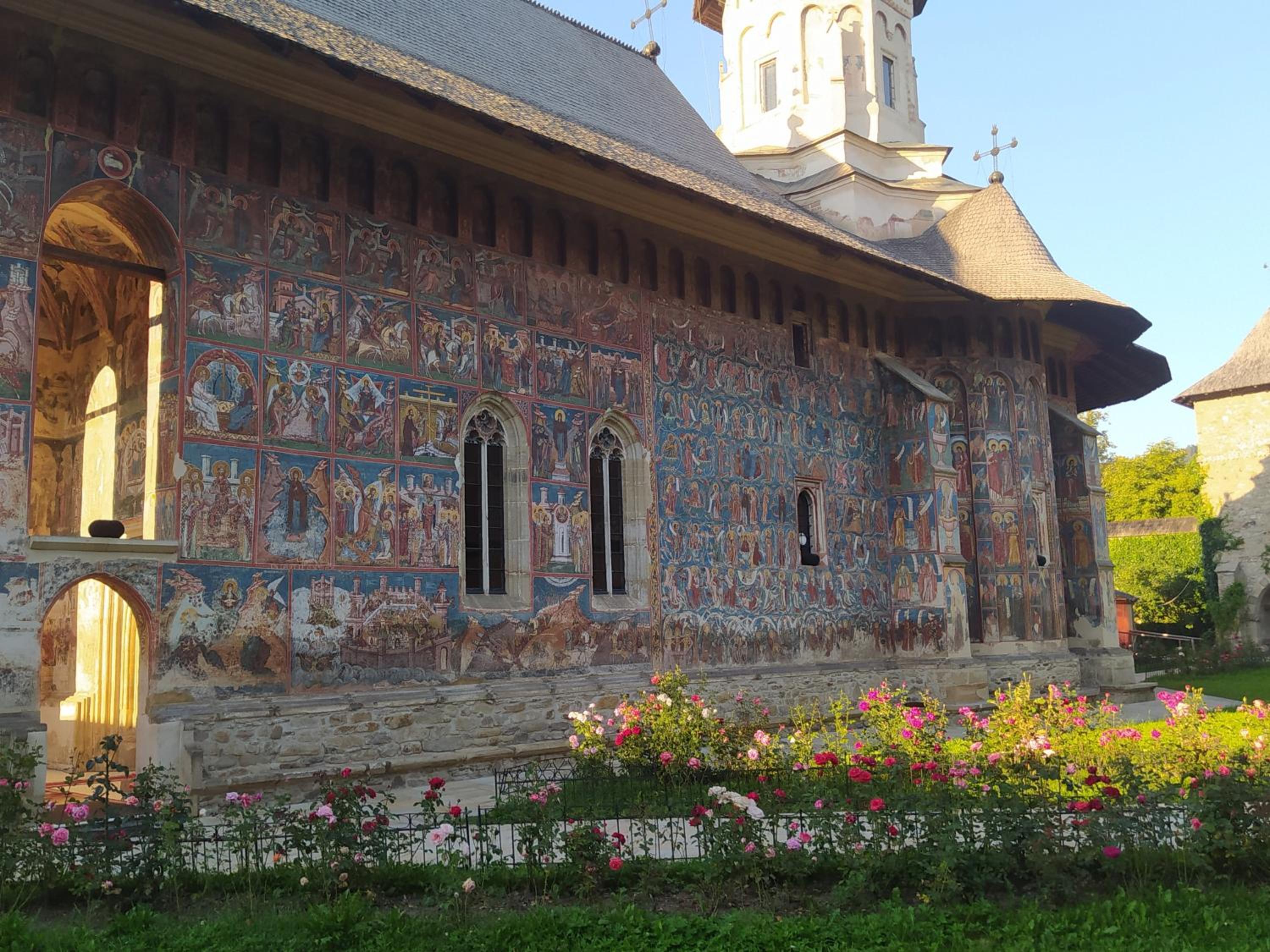 Photo 41