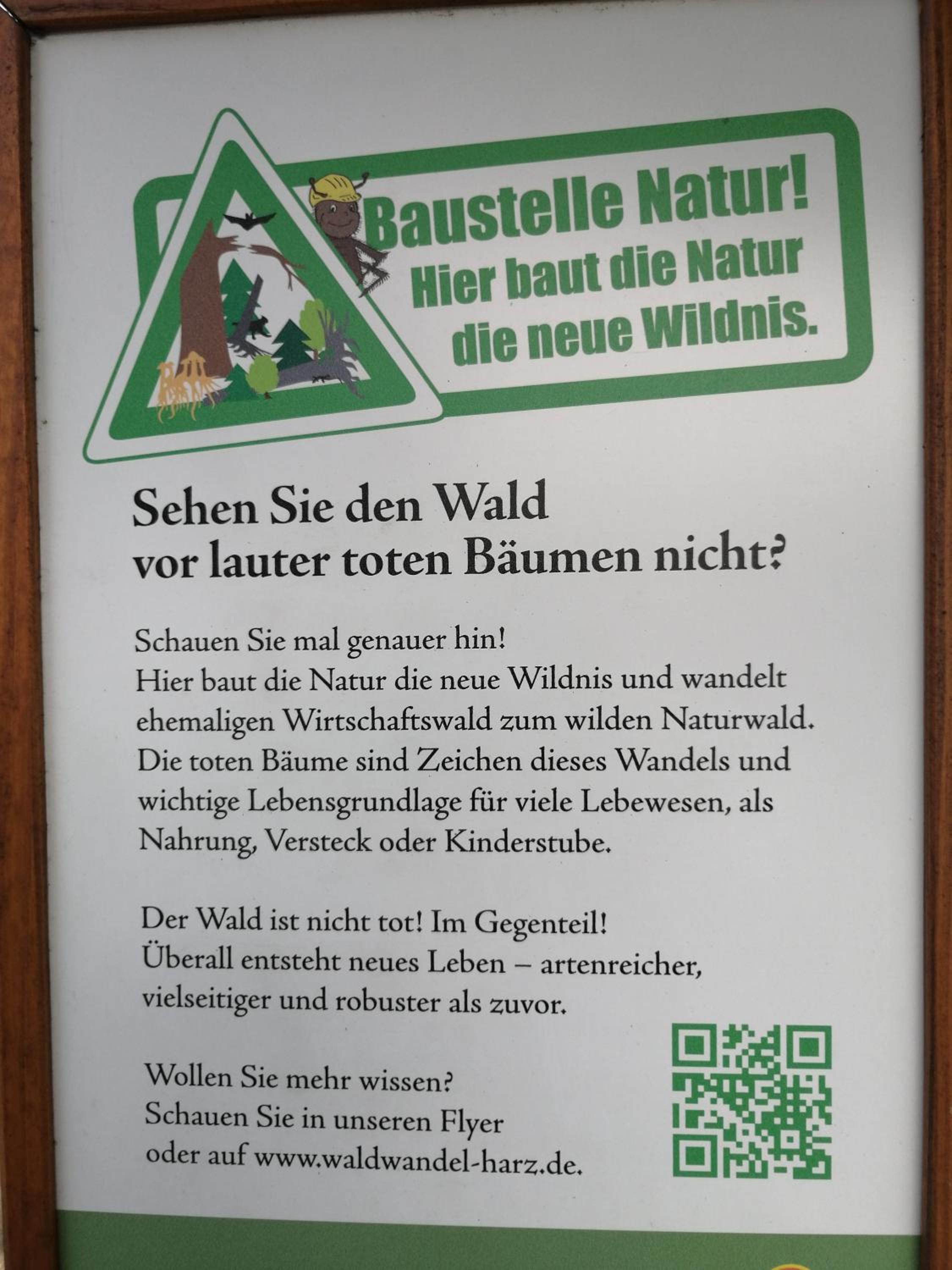Apartment 350 mit Brockenblick