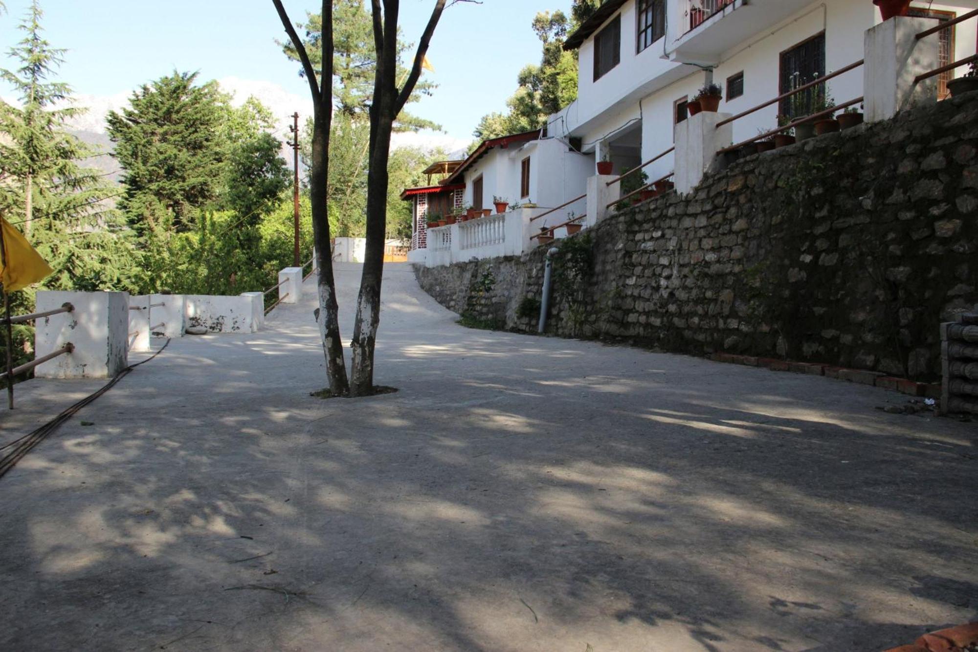 Photo 6