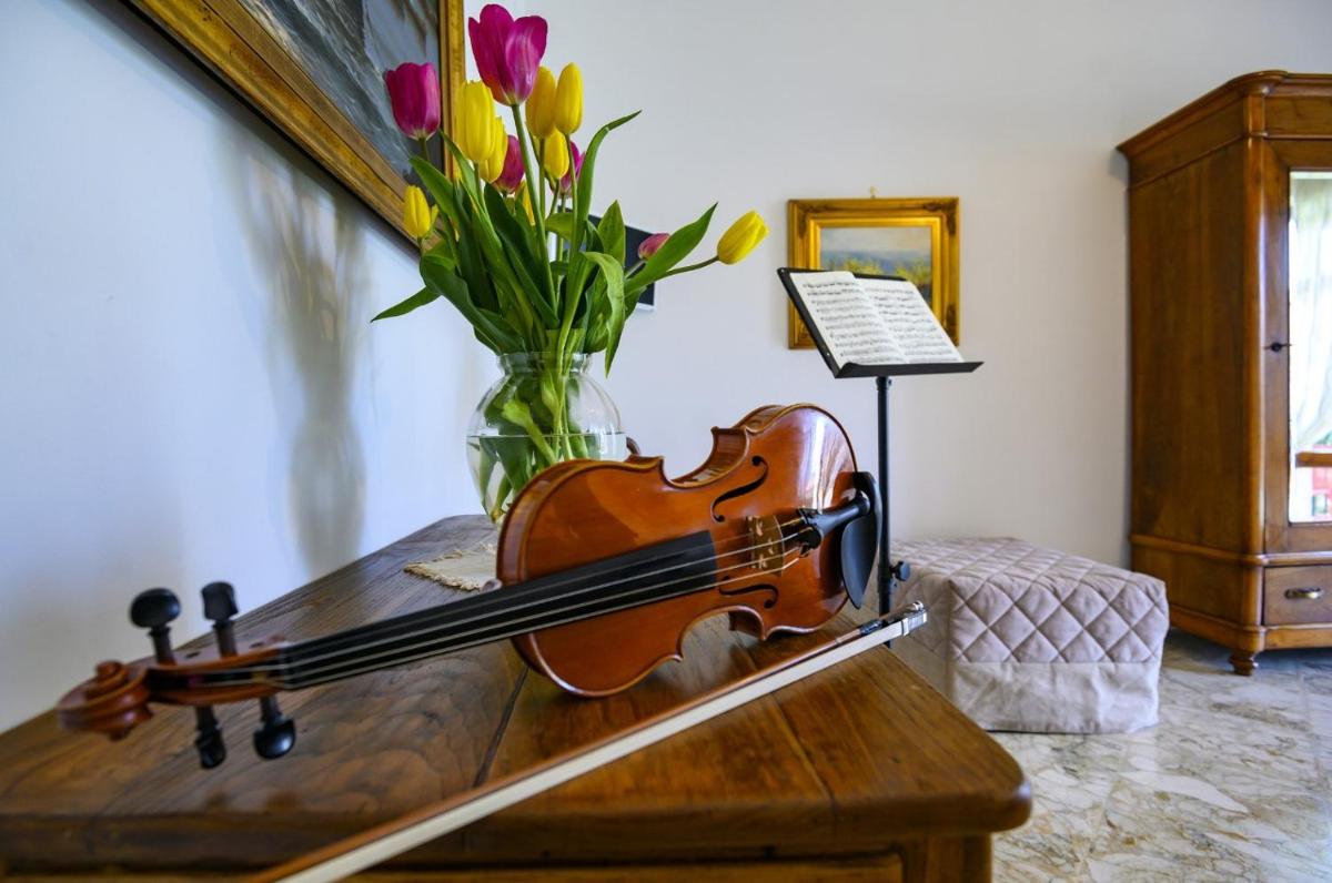 Violinist's house photo 2