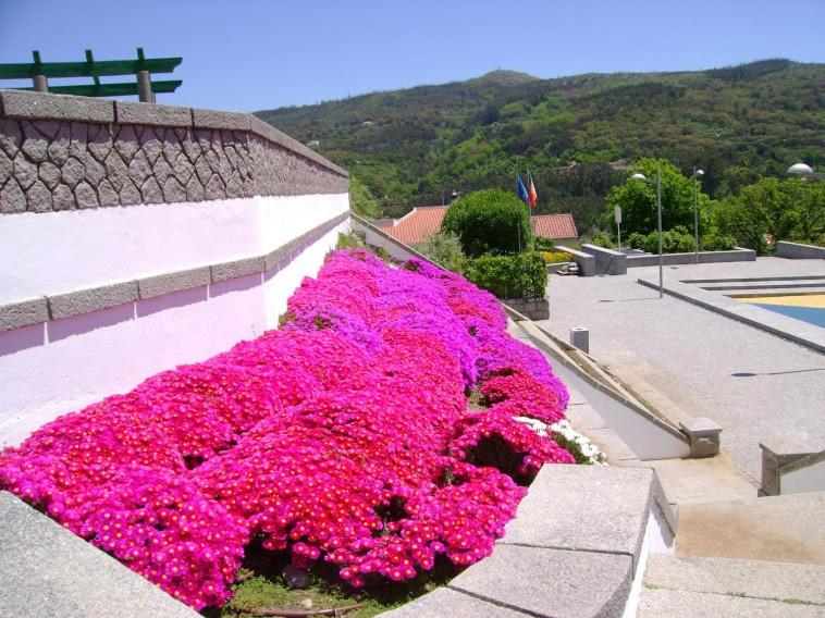 Miradouro da Serra view 3