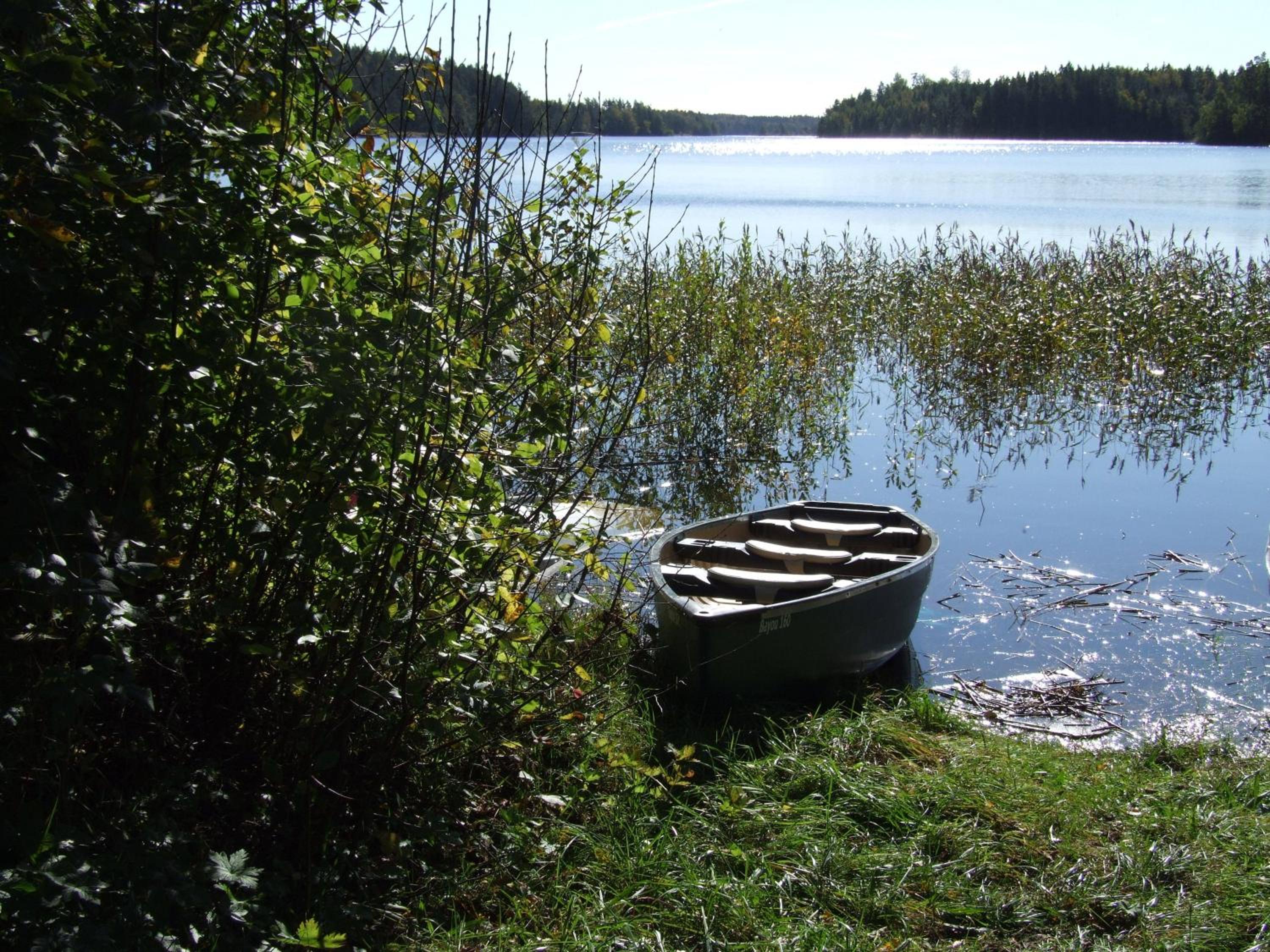 Photo 43