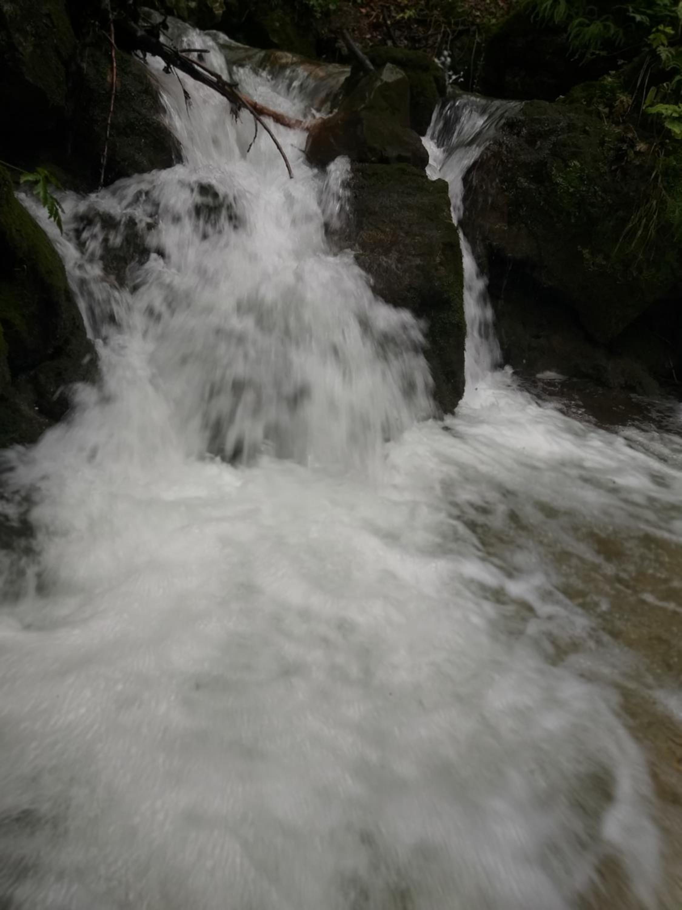 Photo 44