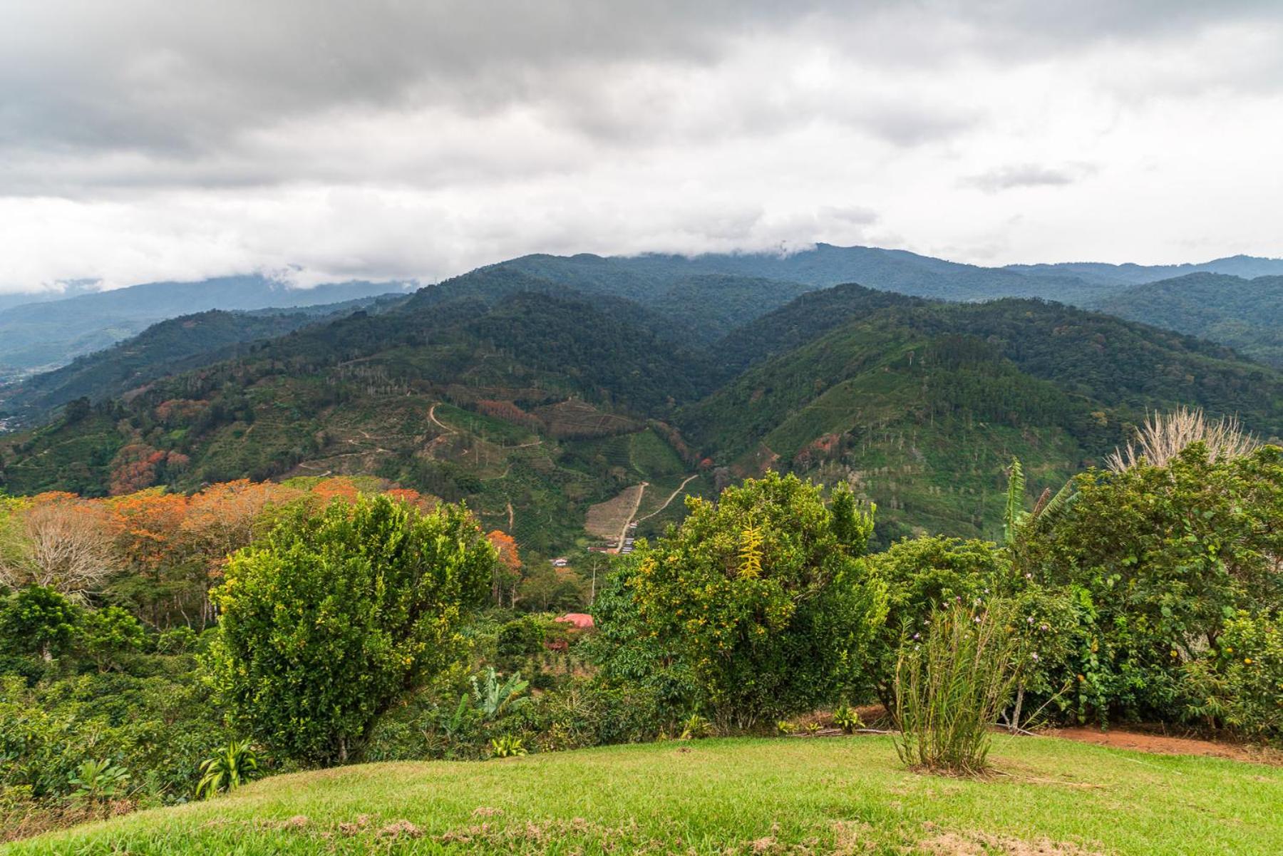 Casa Bartzis, Close to Orosi and Tapanti National Park