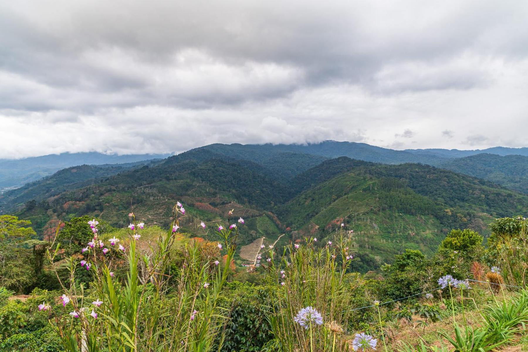 Casa Bartzis, Close to Orosi and Tapanti National Park