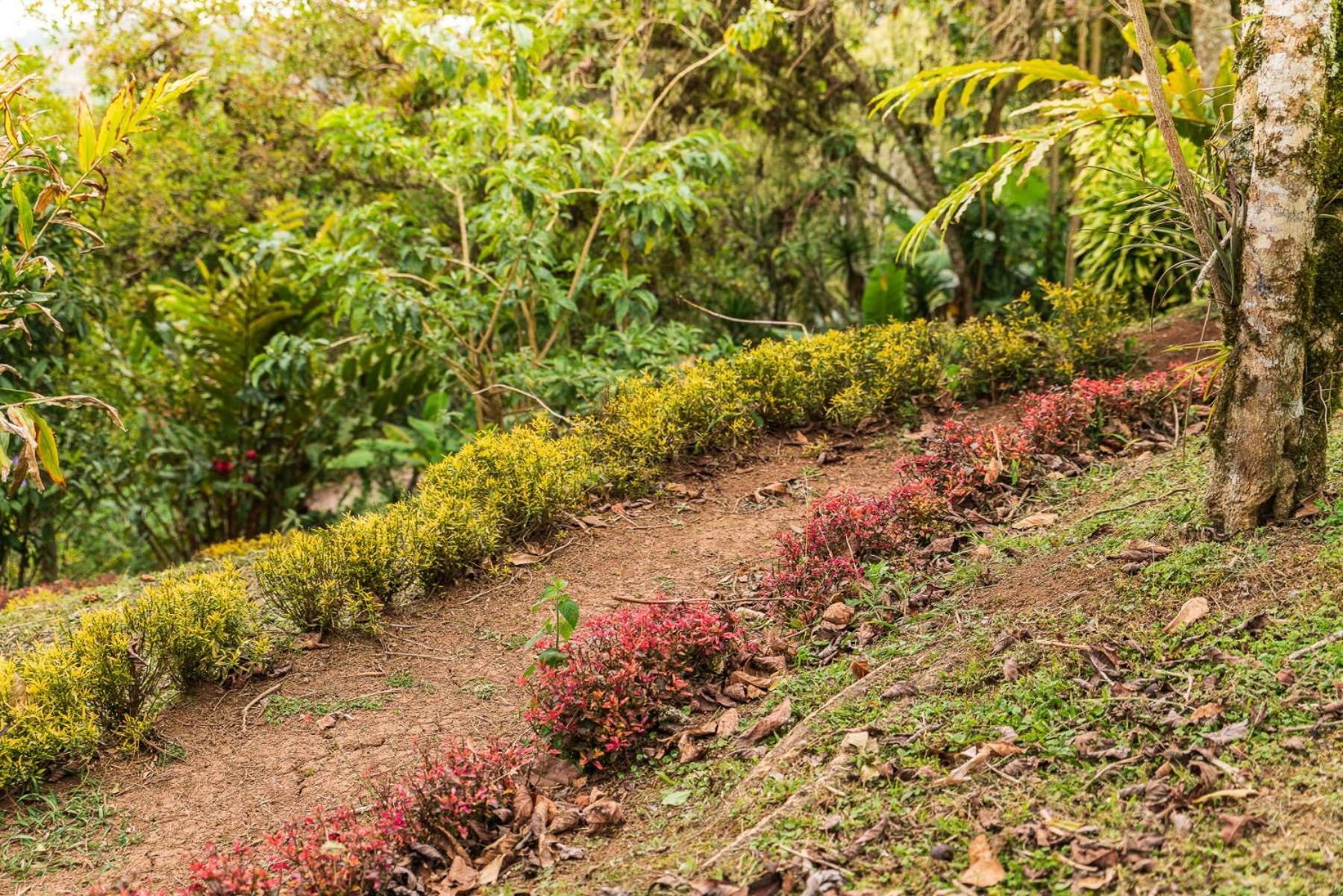 Casa Bartzis, Close to Orosi and Tapanti National Park