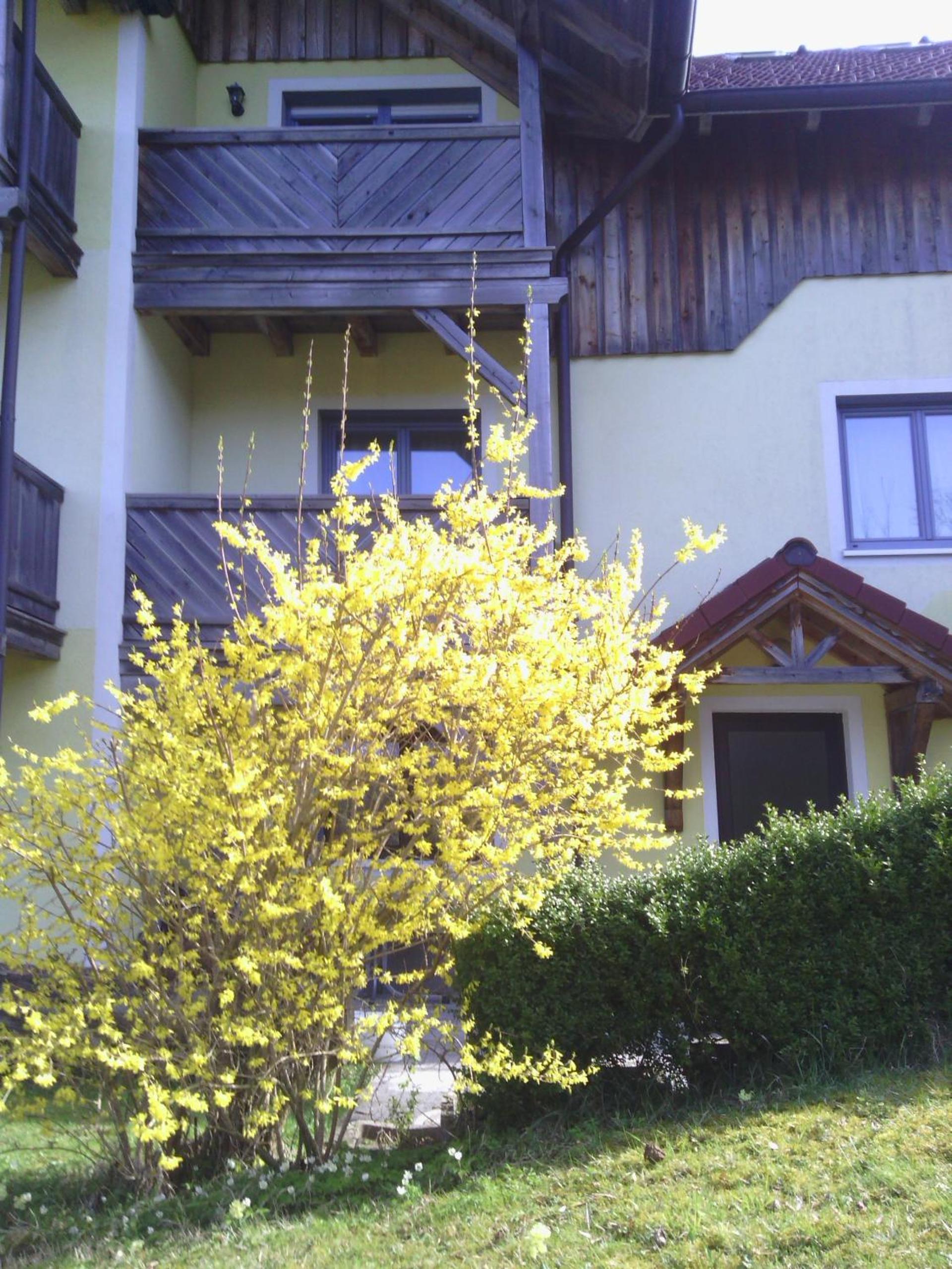 Apartments Grabler