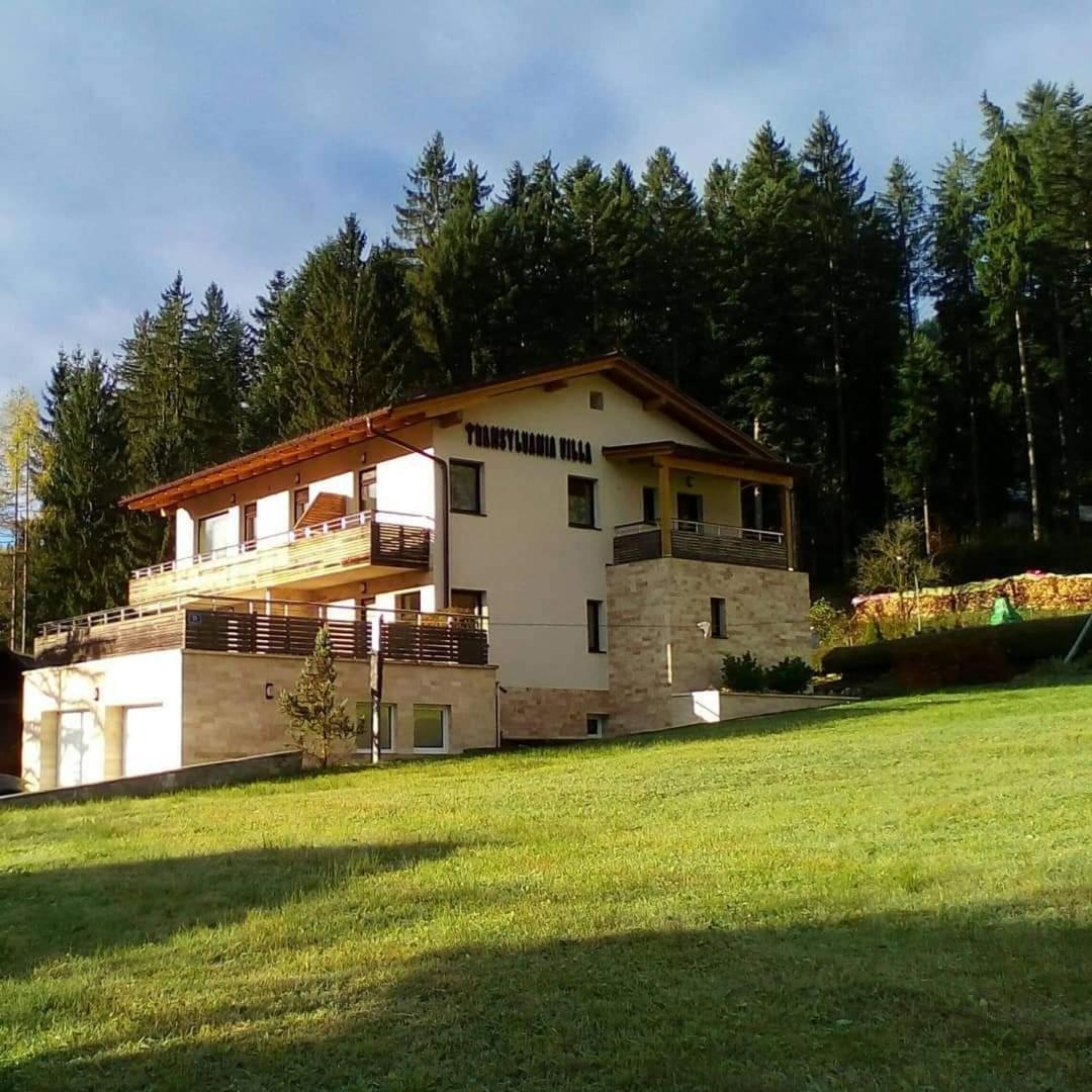Transylvania Villa & Spa view 2