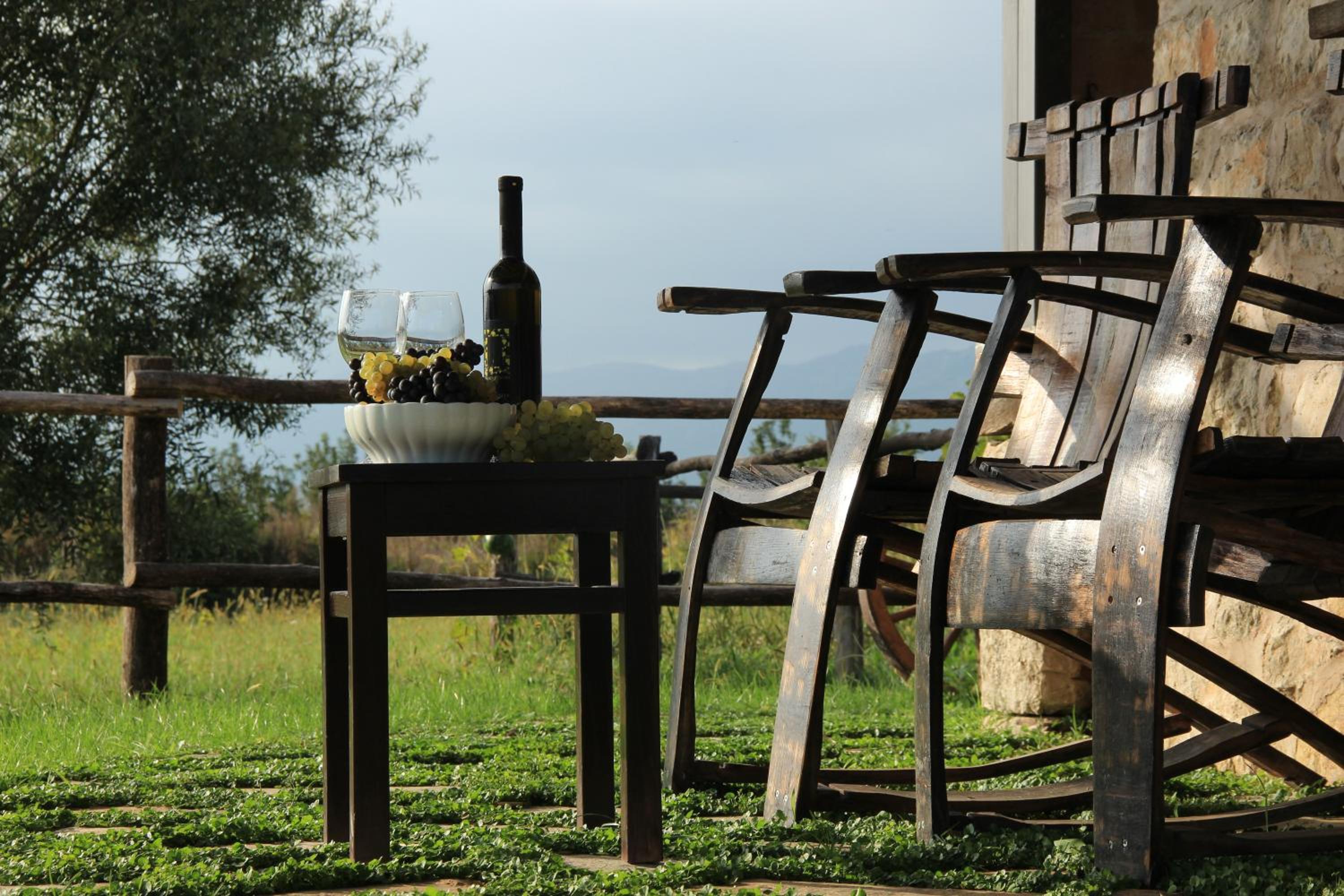 Vineyard Eco Cottage near Dubrovnik view 4