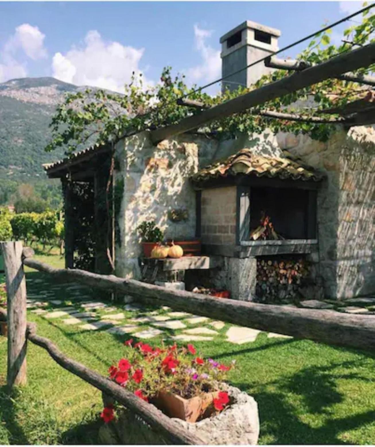 Vineyard Eco Cottage near Dubrovnik view 5