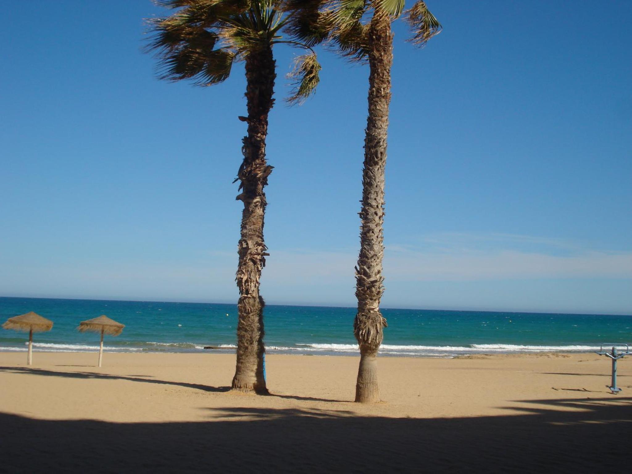 Luxury appartement 2c La Mata 50m from the sea view 5