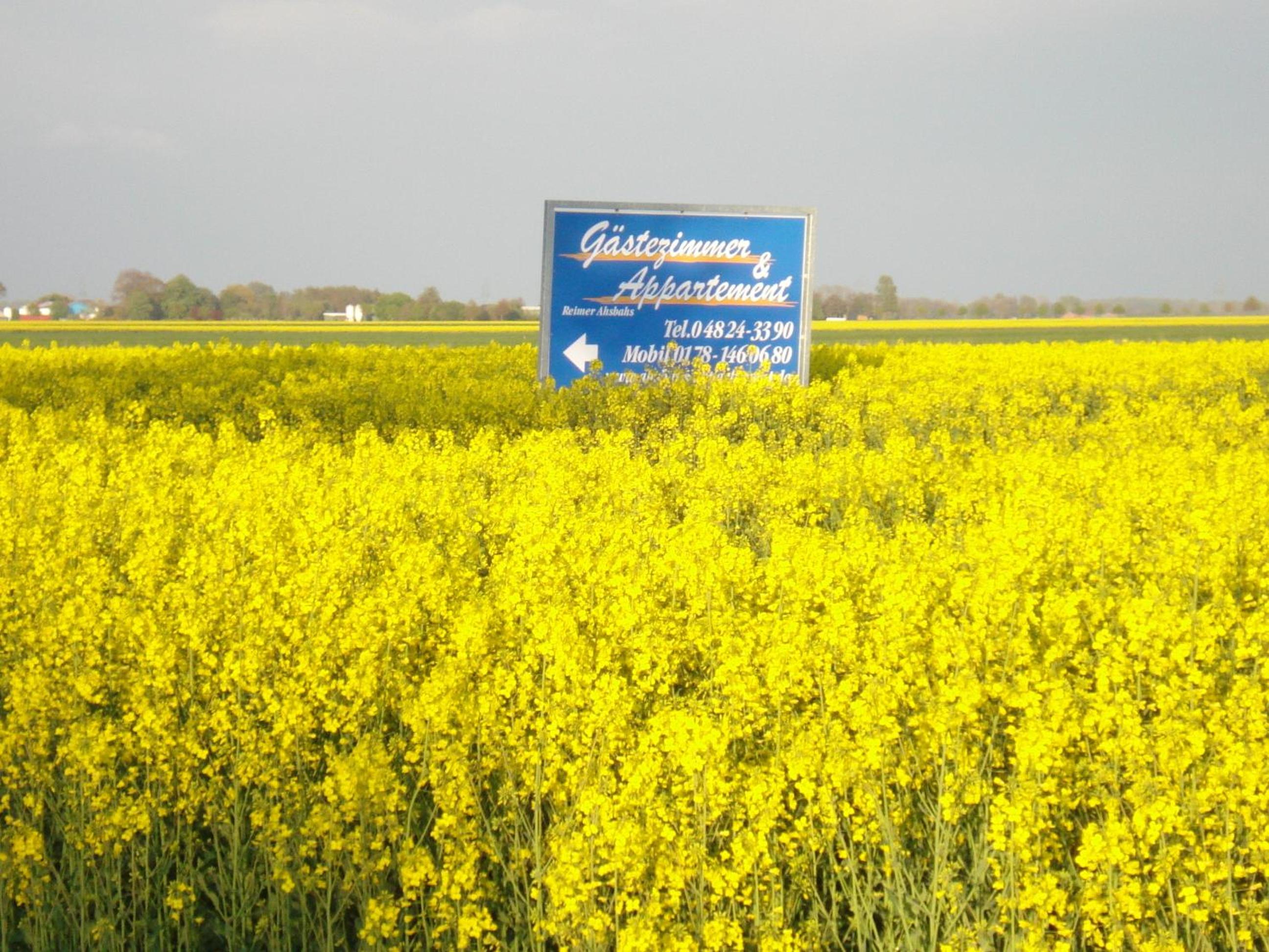Gästezimmer & Appartement Elskop