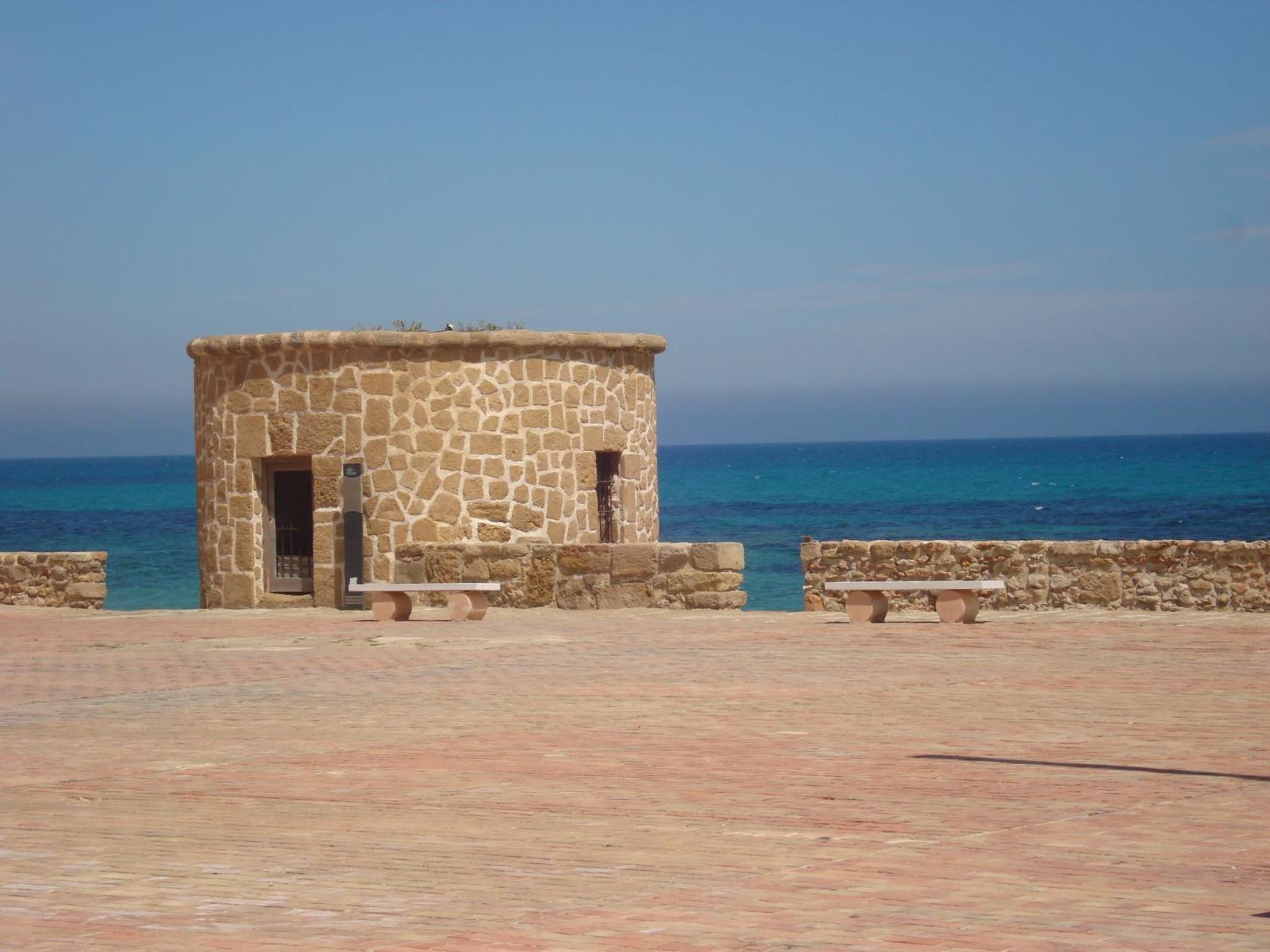 Photo 8