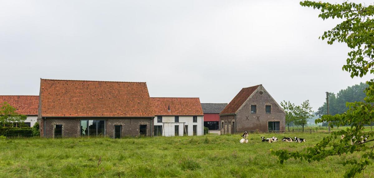 De Grote Linde