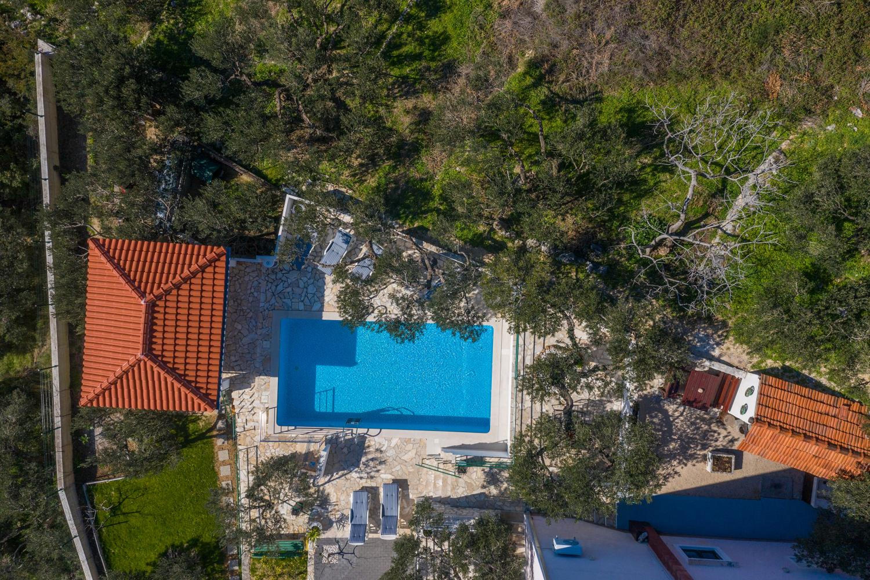 Apartment Glavina with heated pool view 3
