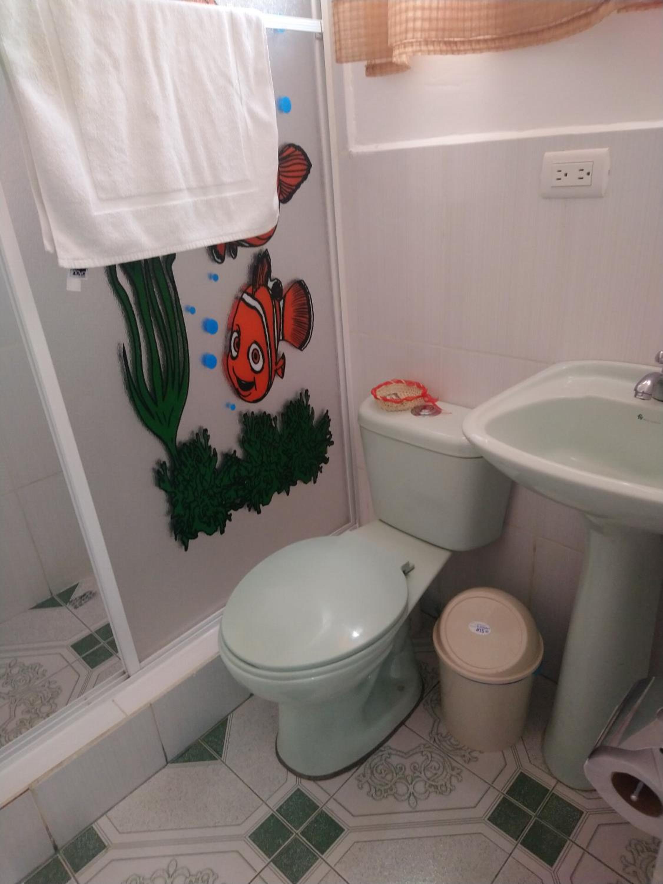 Photo 47