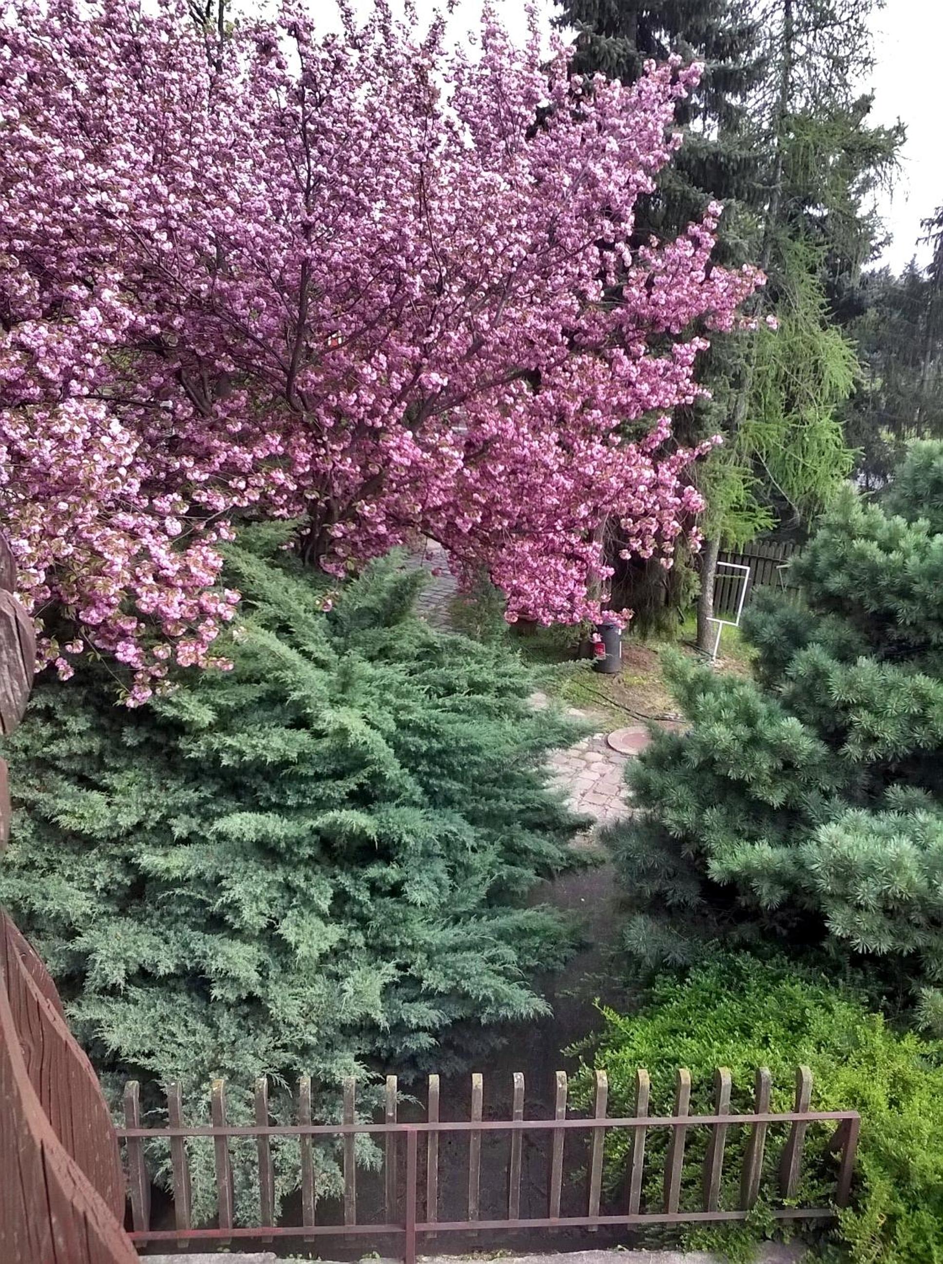Photo 48