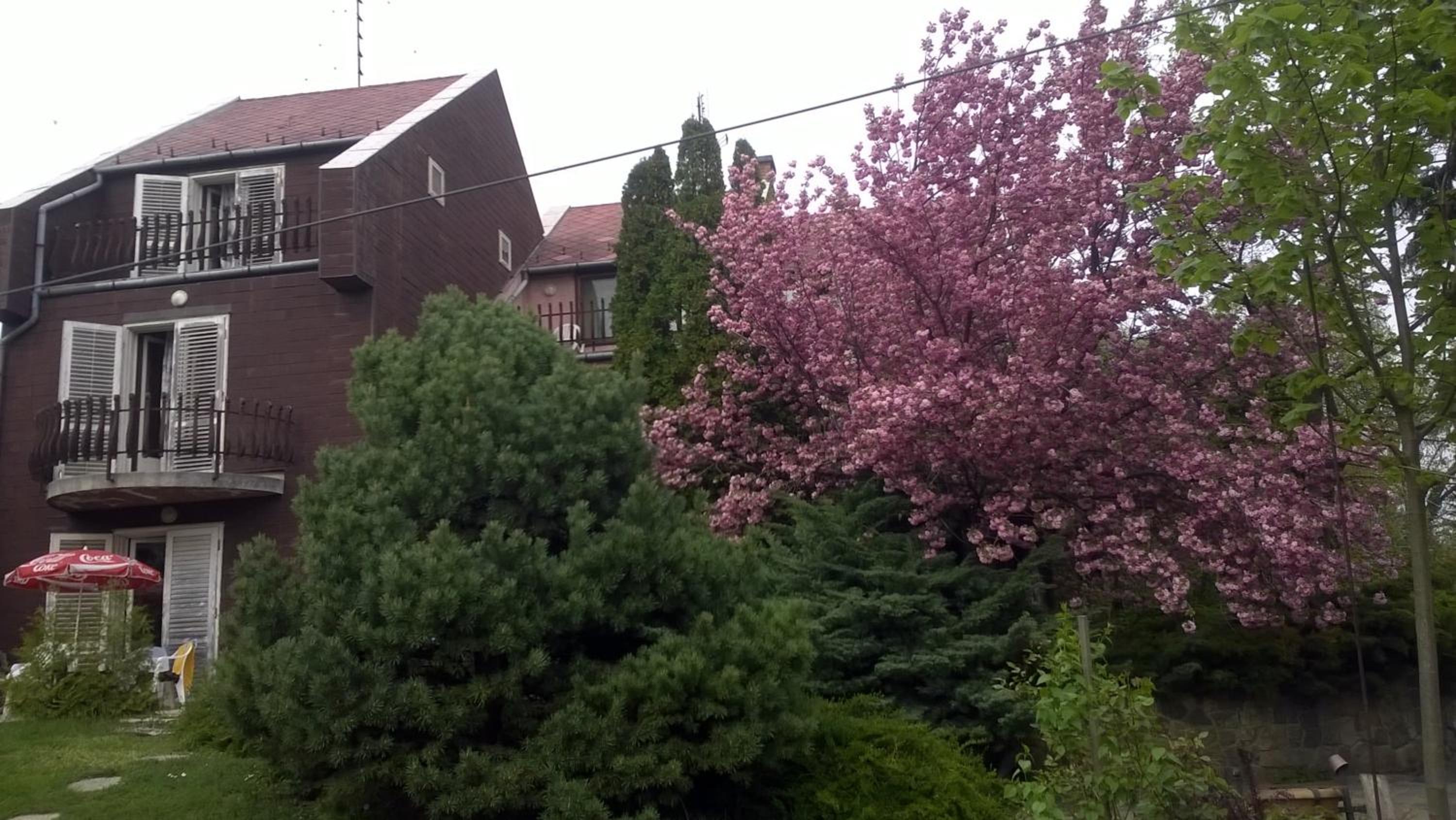 Photo 43
