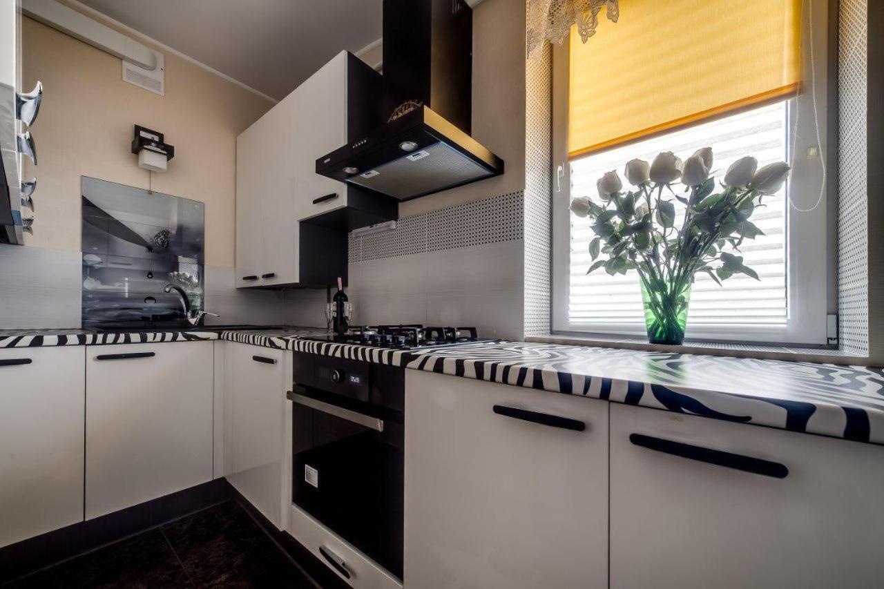 Apartamenty on Kryvonosa view 3