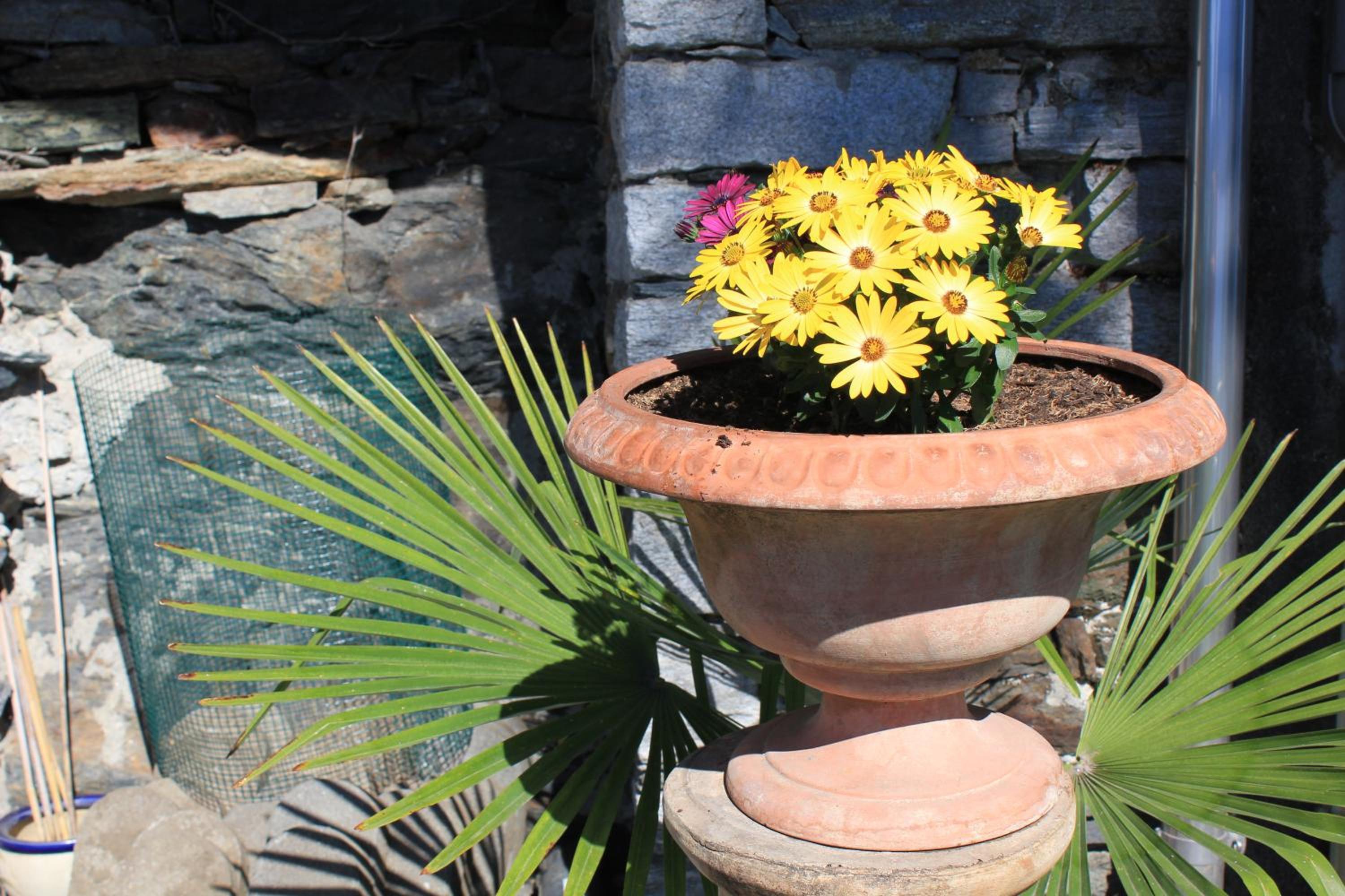 Casa San Martino