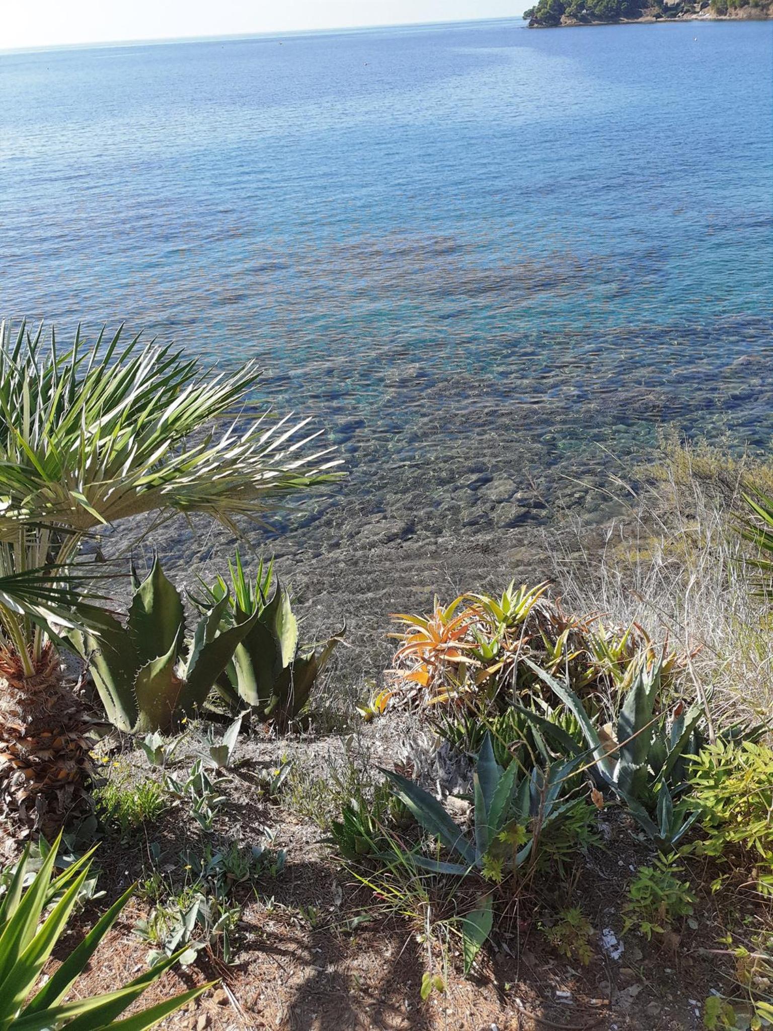 casa vacanza cilento PARDALIS photo 5