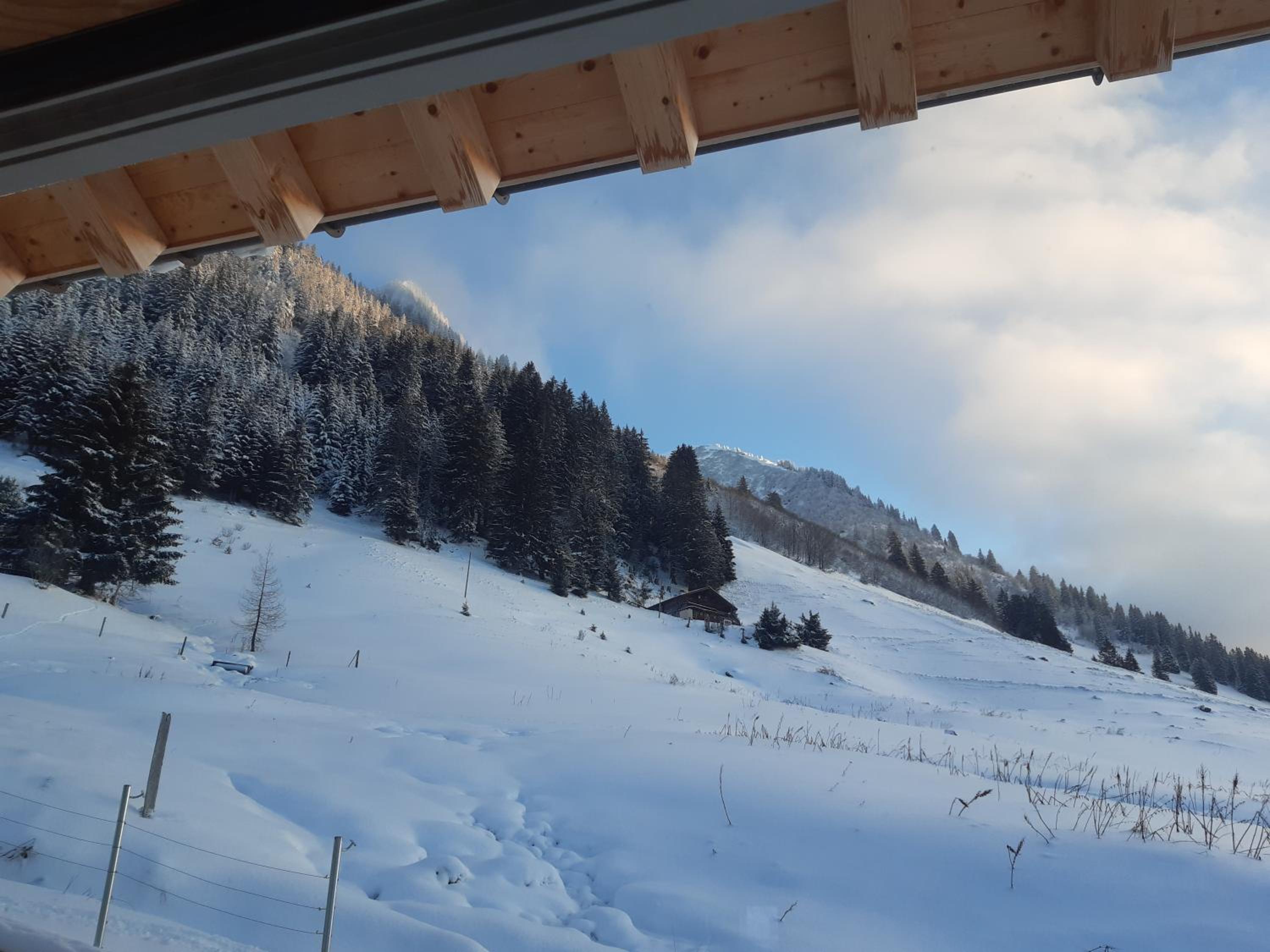 Alpine Dream Chalet with Spa close to Lake Geneva