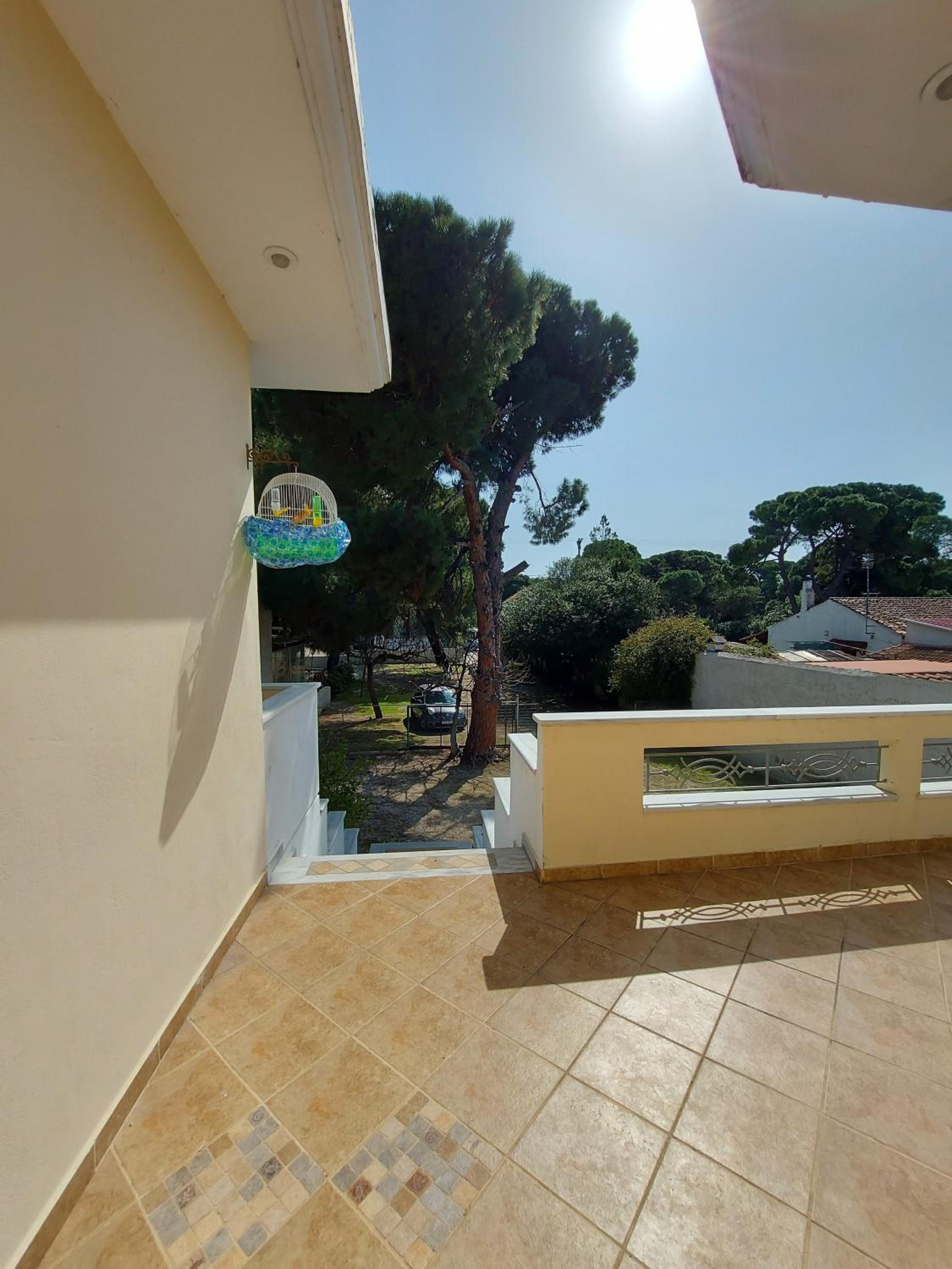 Sxinias Resort view 4