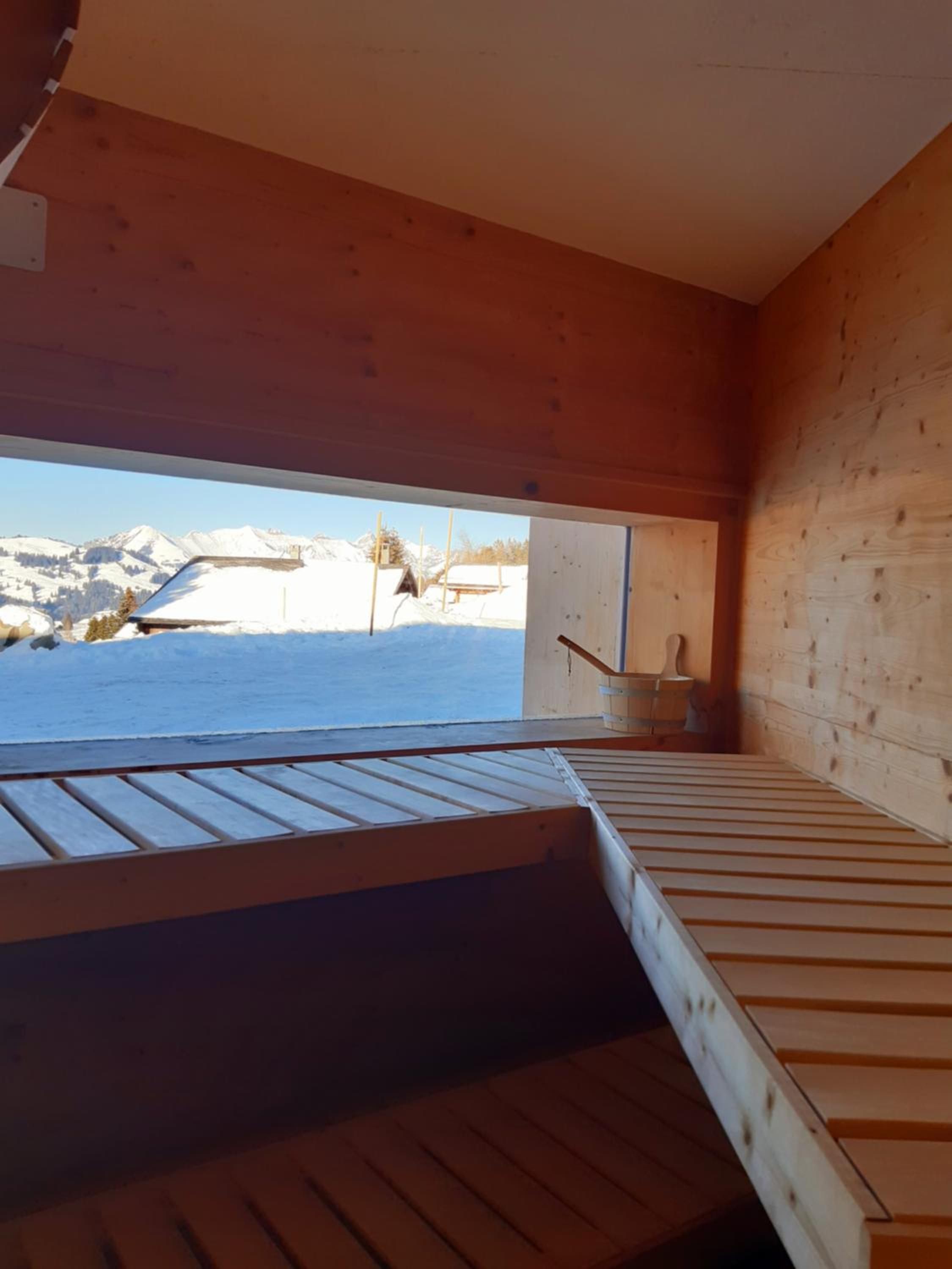 Alpine Dream Chalet with Spa close to Lake Geneva