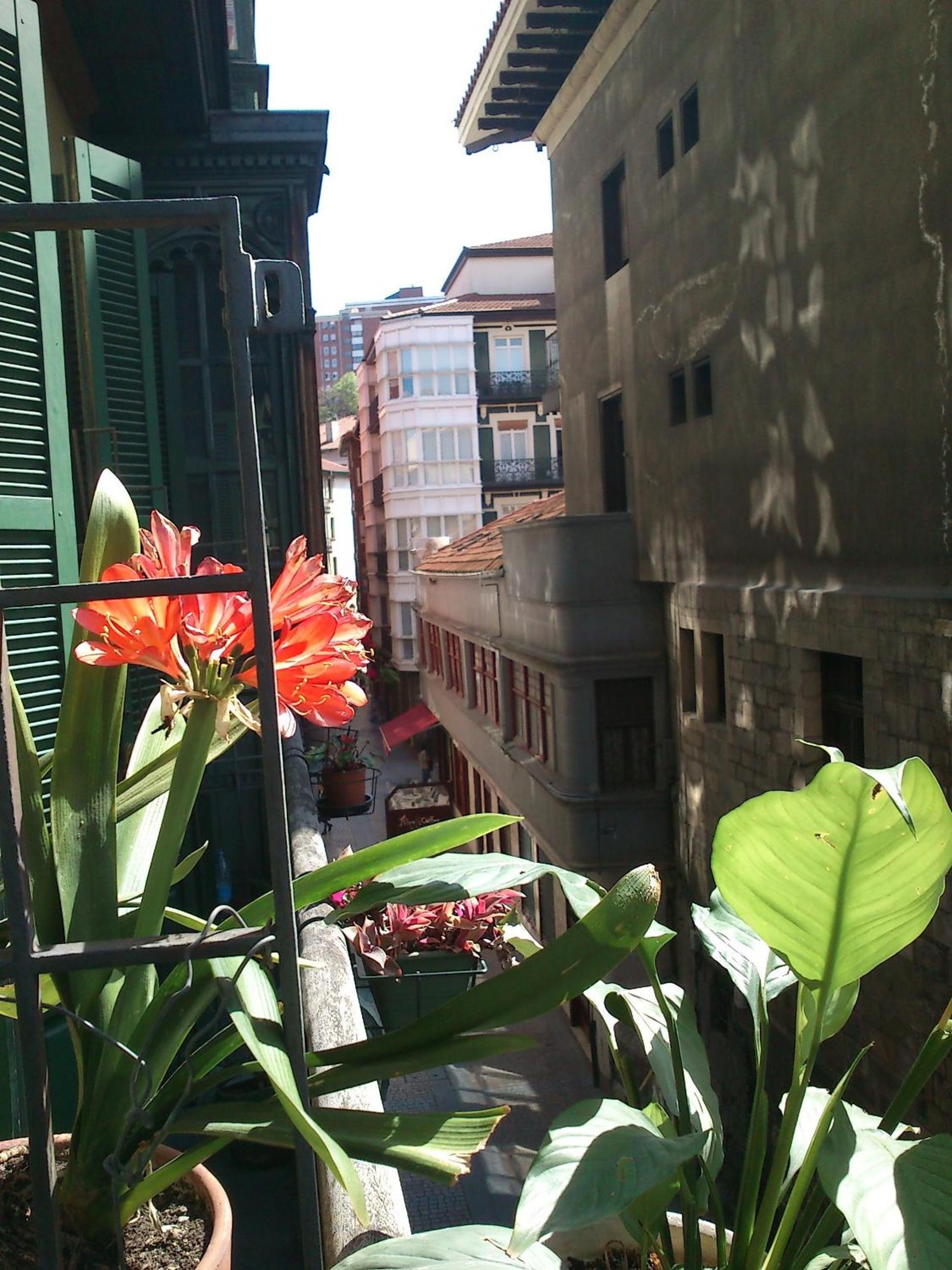 Roquefer Bilbao Central Rooms view 3