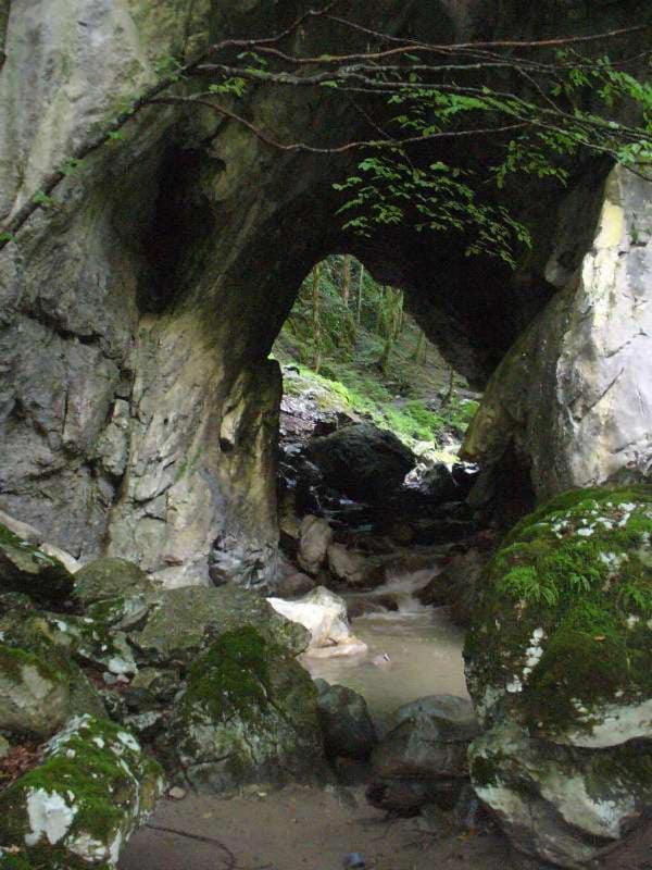 Photo 51