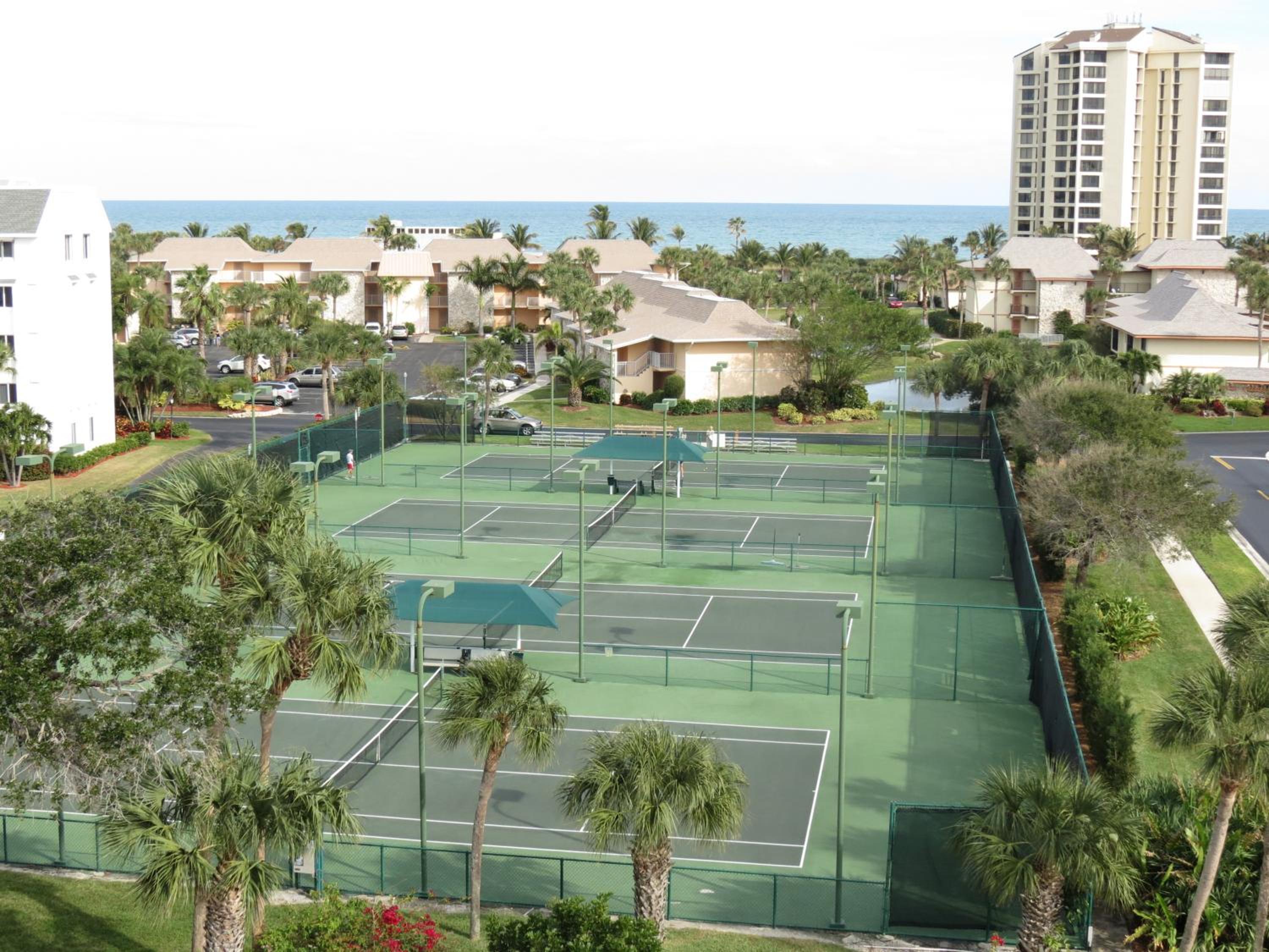 Oceanfront Tropical Paradise view 5