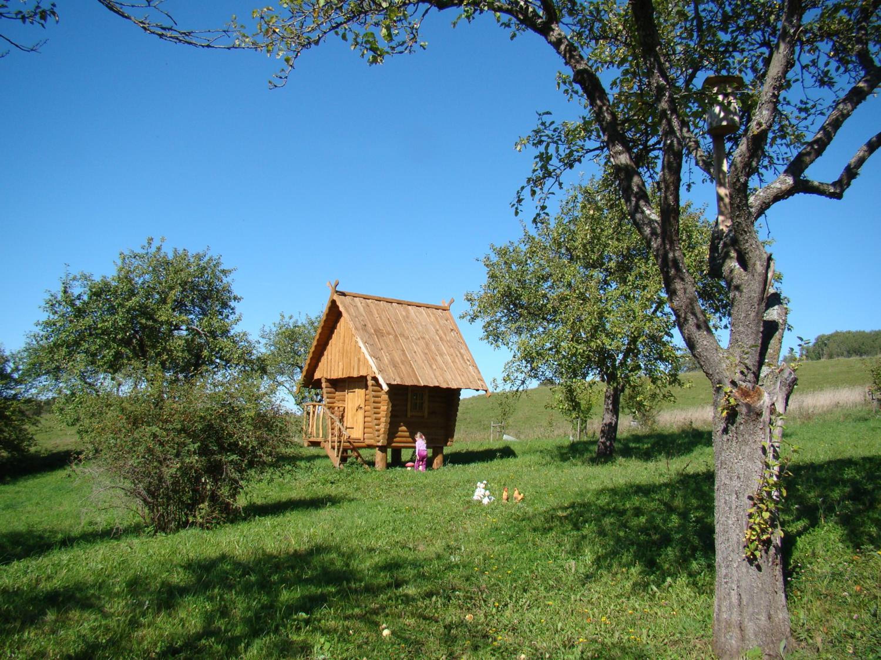 Photo 17