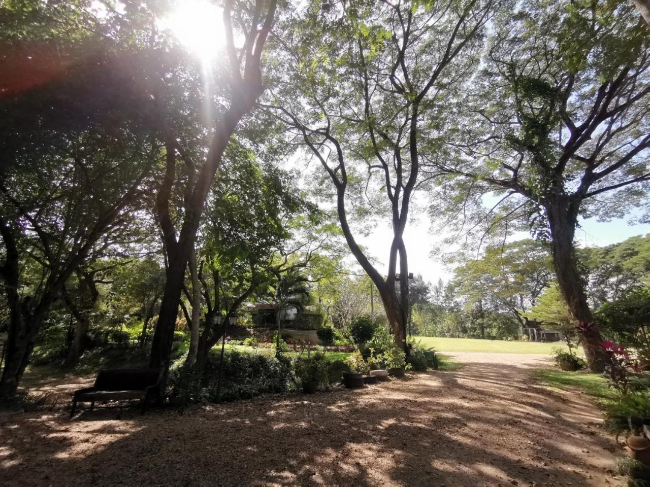The Harmony Resort