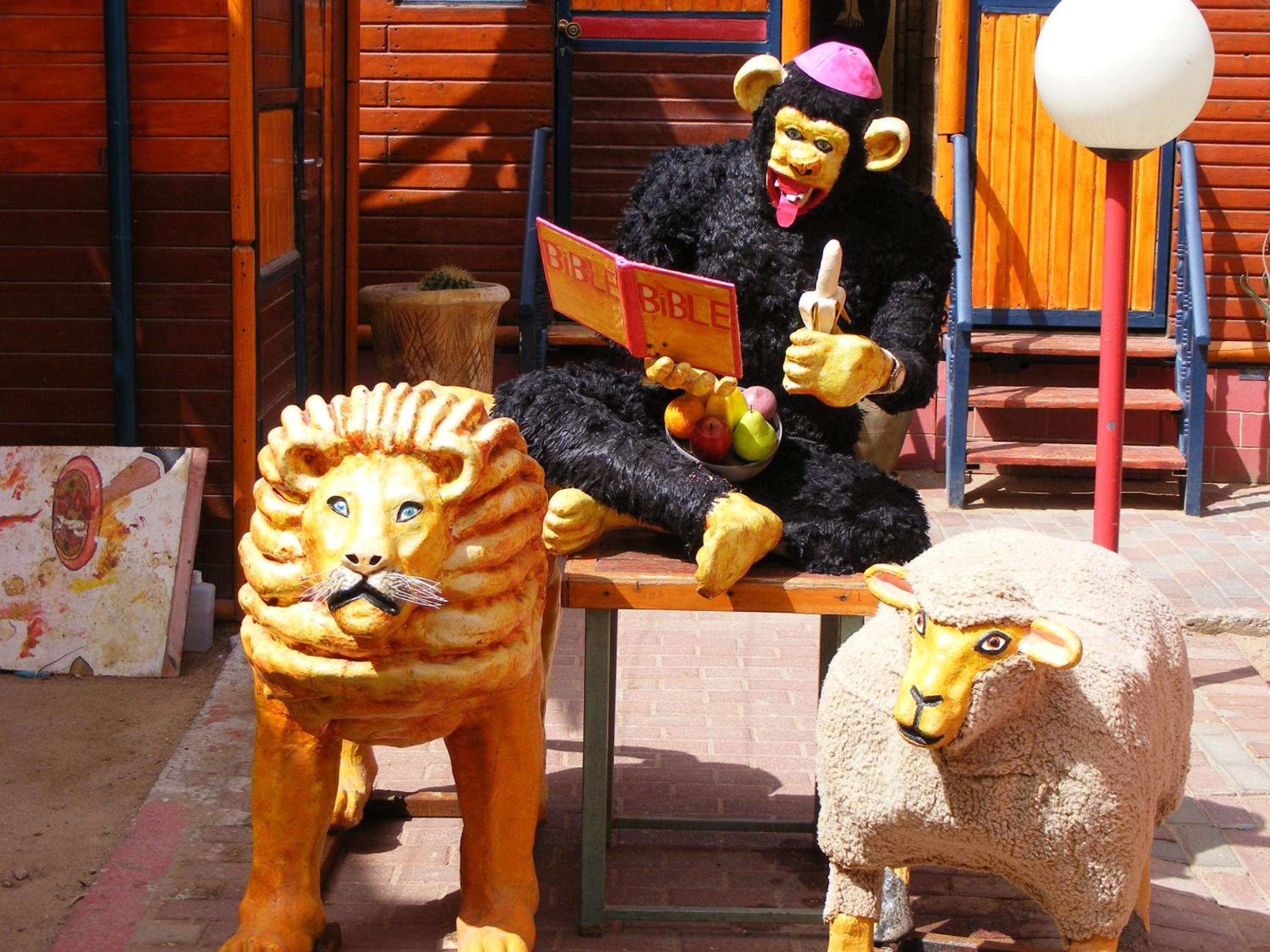 Photo 40