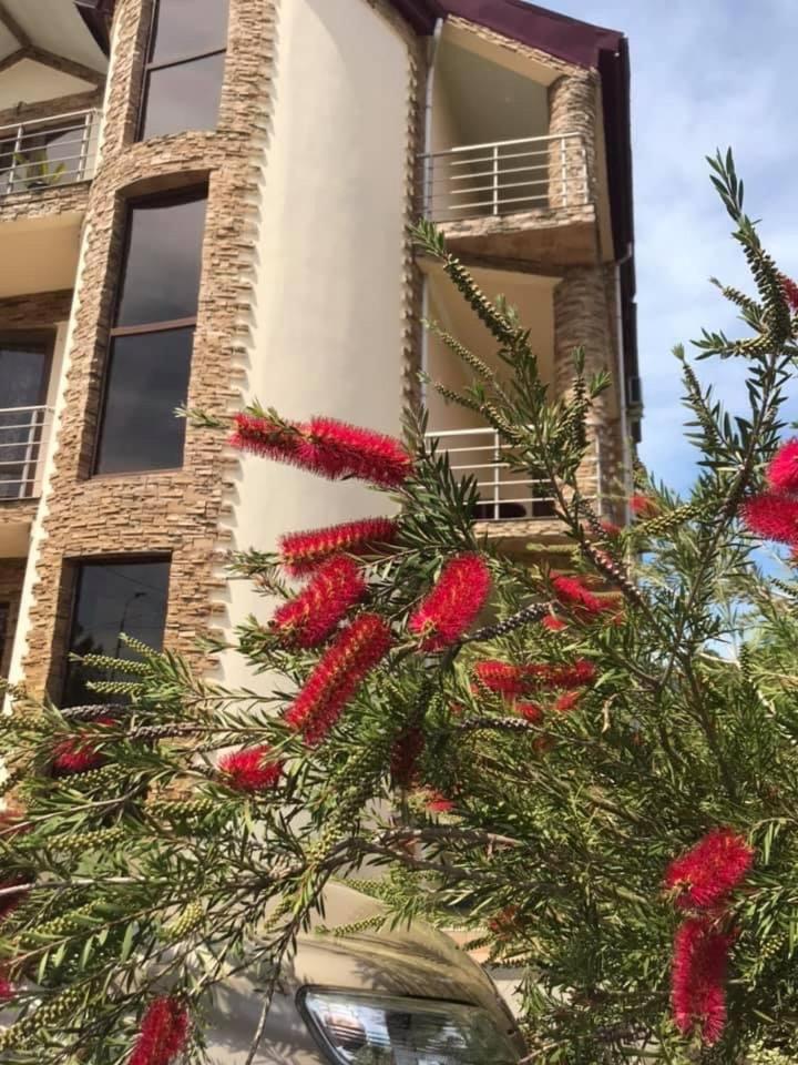 Guest House Kobuleti