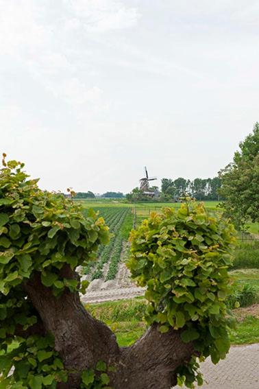 Bed and Breakfast Lauwersstate view 3