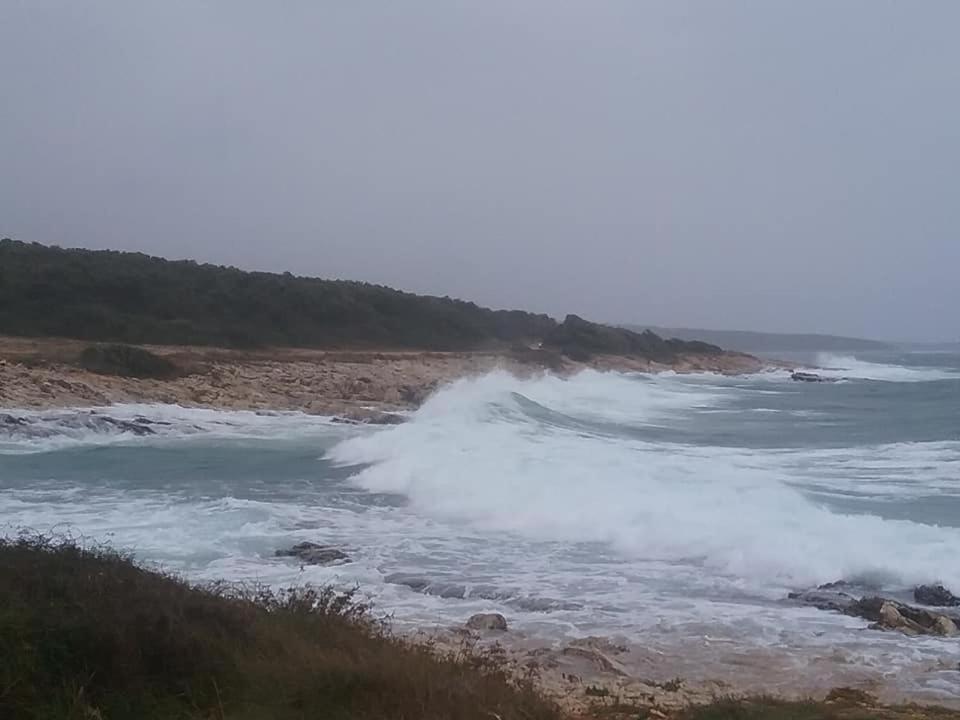 Casetta Olivetta view 5