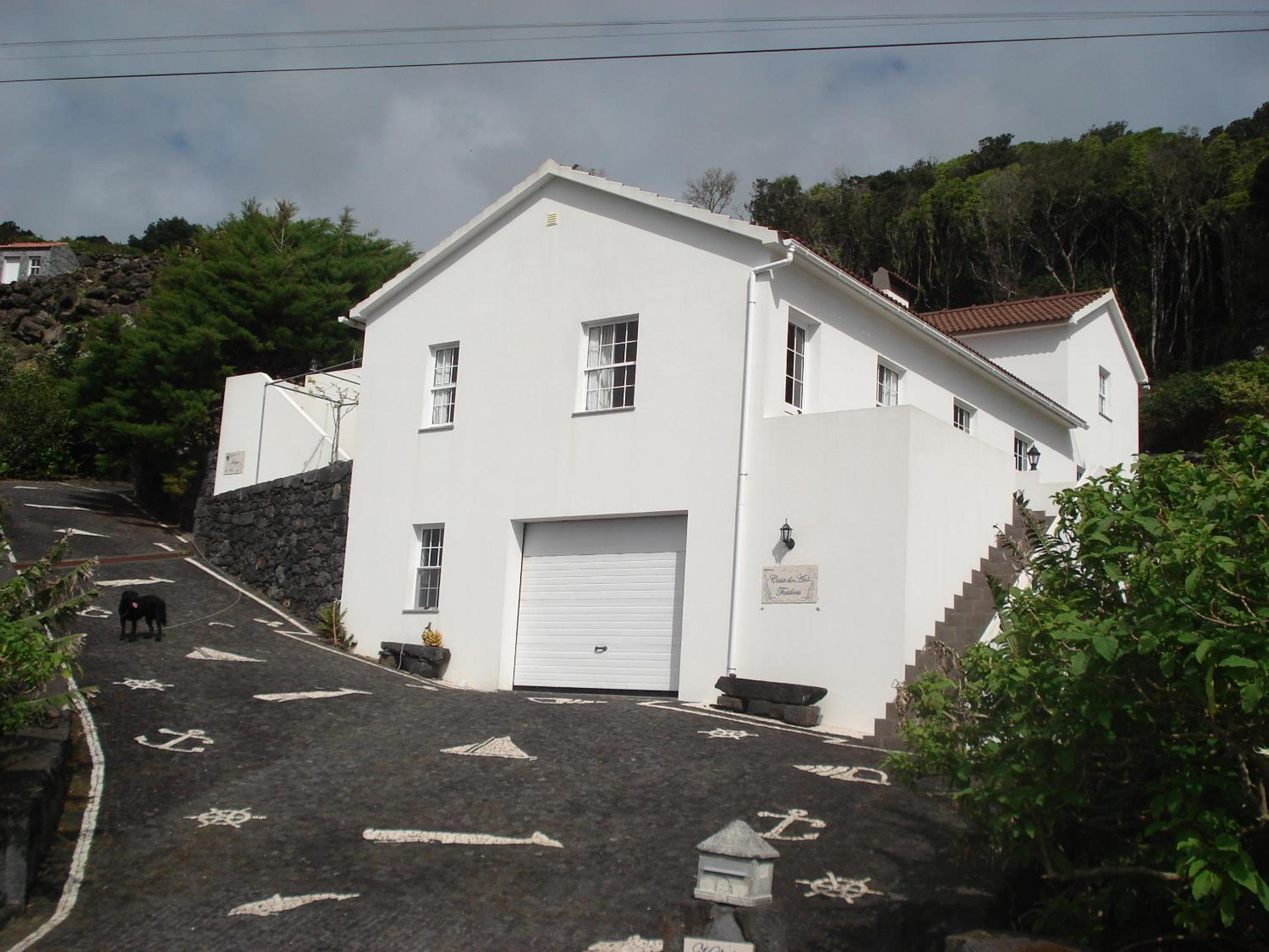 Photo 42